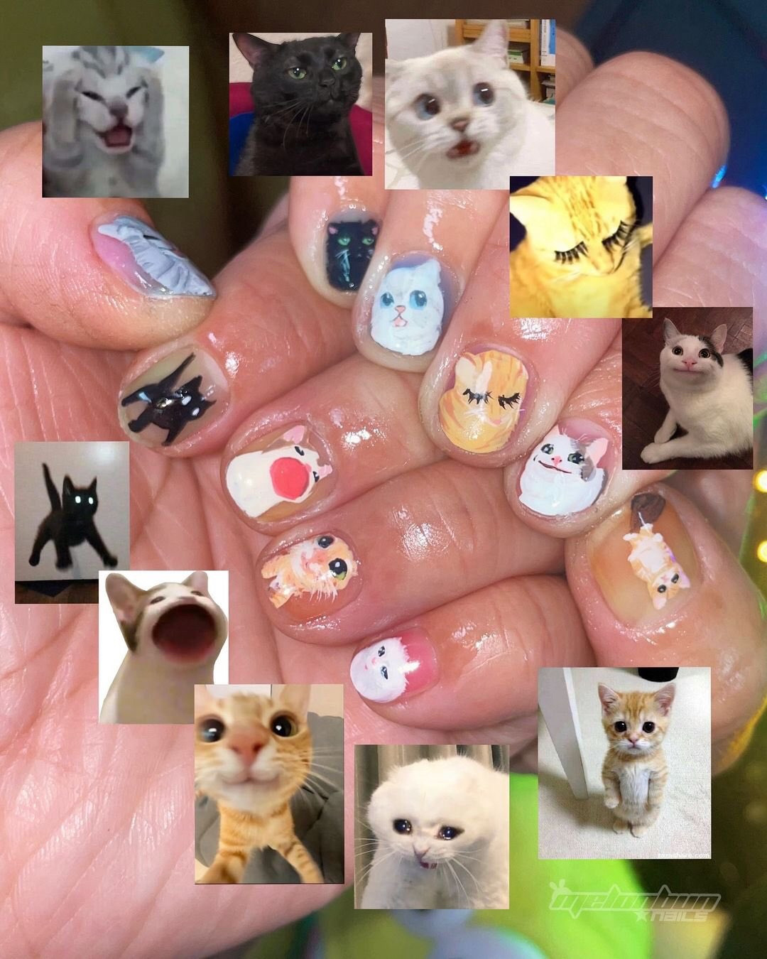 Uma foto de unhas com memes de gatinhos pintados nelas.