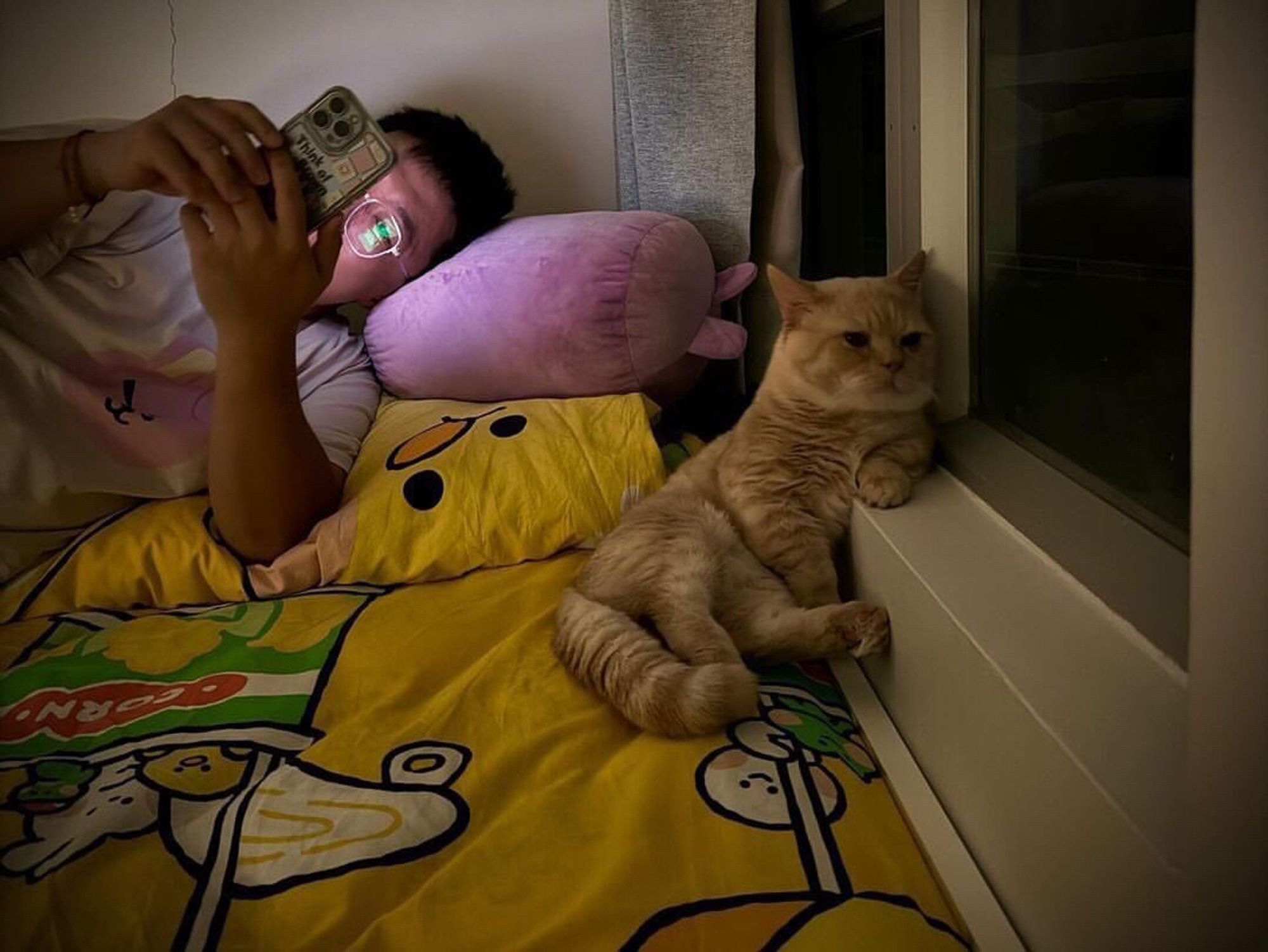 Um gatinho laranja olhando pela janela apoiando o braço igual um caminhoneiro. Ao lado dele está seu dono mexendo no celular.