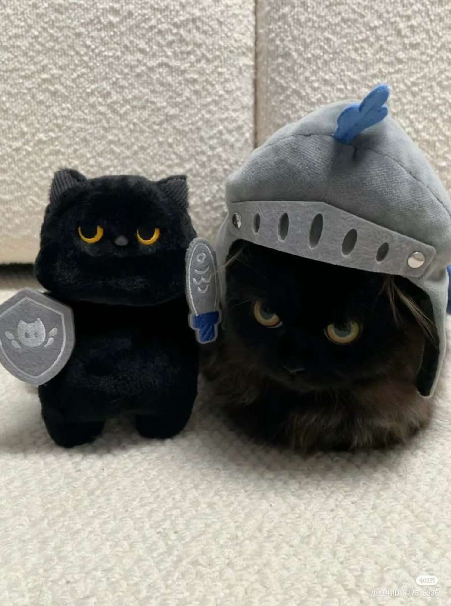 Um lindo gatinho preto todo fofo usando um chapéuzinho em formato de elmo e ao lado dele tem uma pelúcia de gato preto usando uma espada e um escudo.