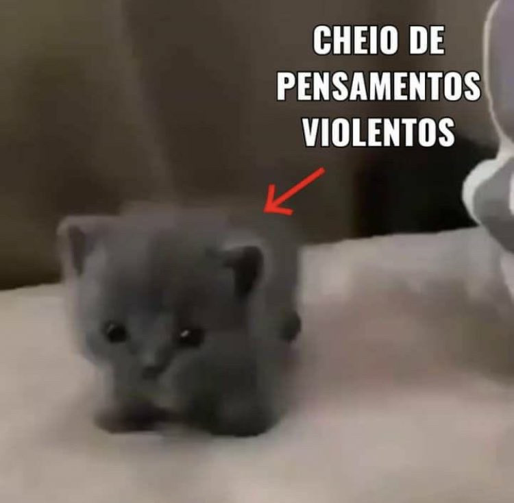 Um gatinho cinza com uma seta apontada para ele e a frase “cheio de pensamentos violentos” escrita acima dele.