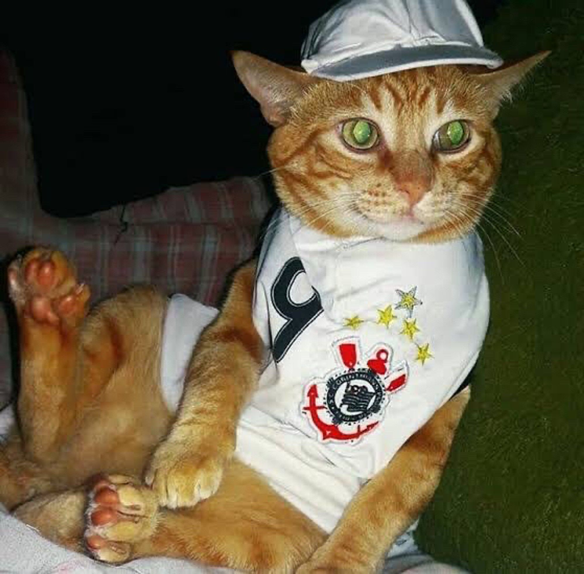 Um gatinho laranja muito fofo usando um boné branco e uma camisa do COLOSSAL DE ITAQUERA. Vaaaaaaaai Corinthians 🖤