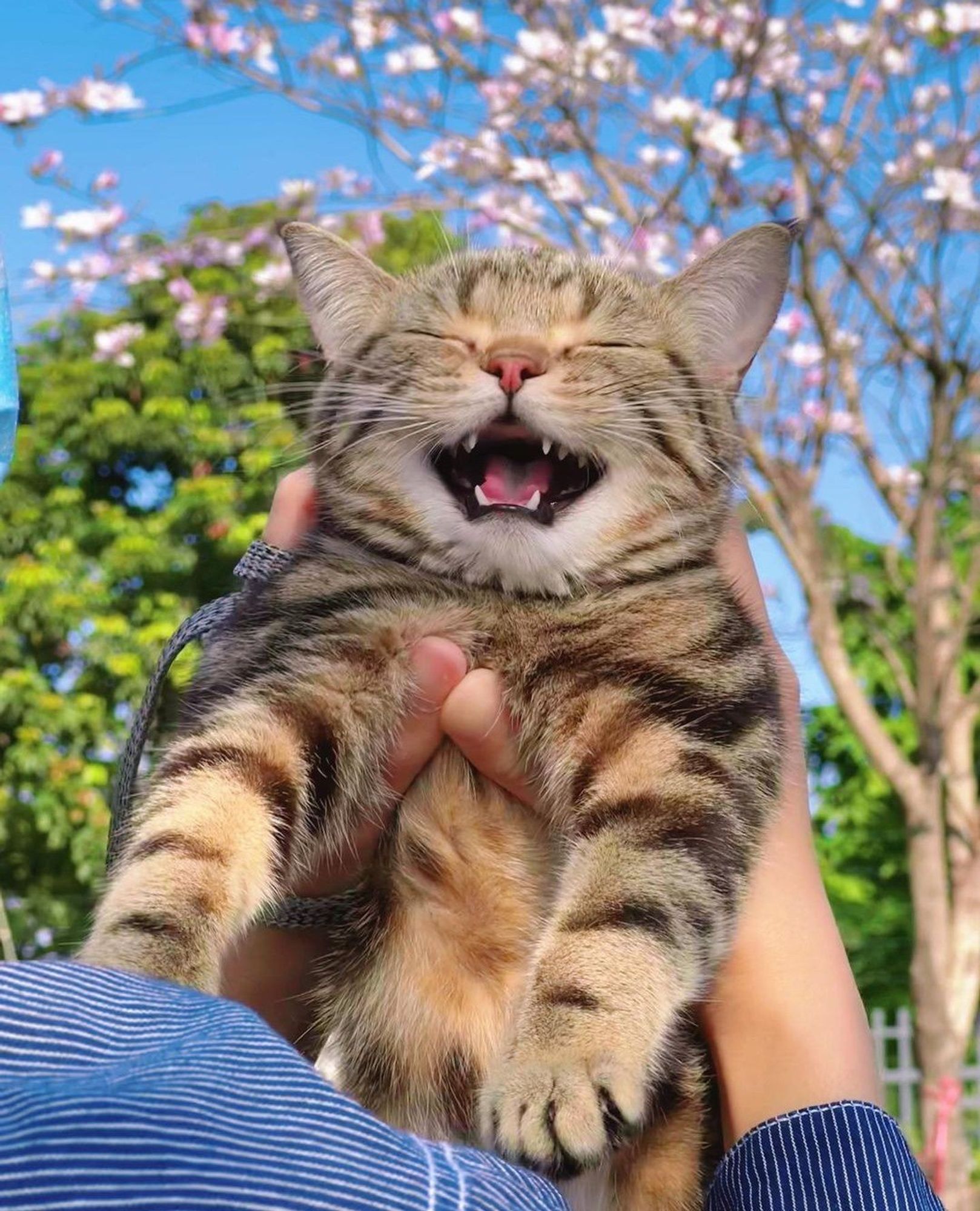 Nessa foto ele da um sorrisão e fecha os olhos.