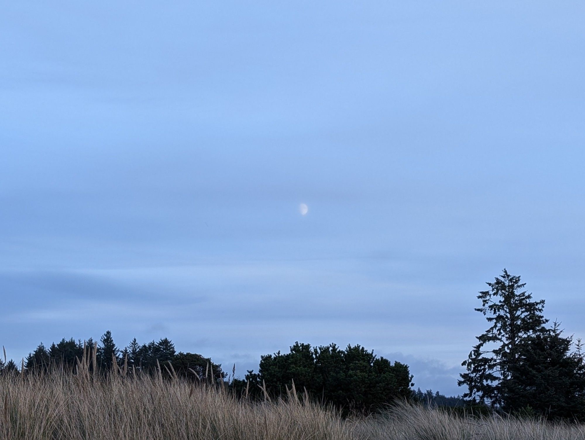 moon rising  over the hills of bayshore, Oregon USA