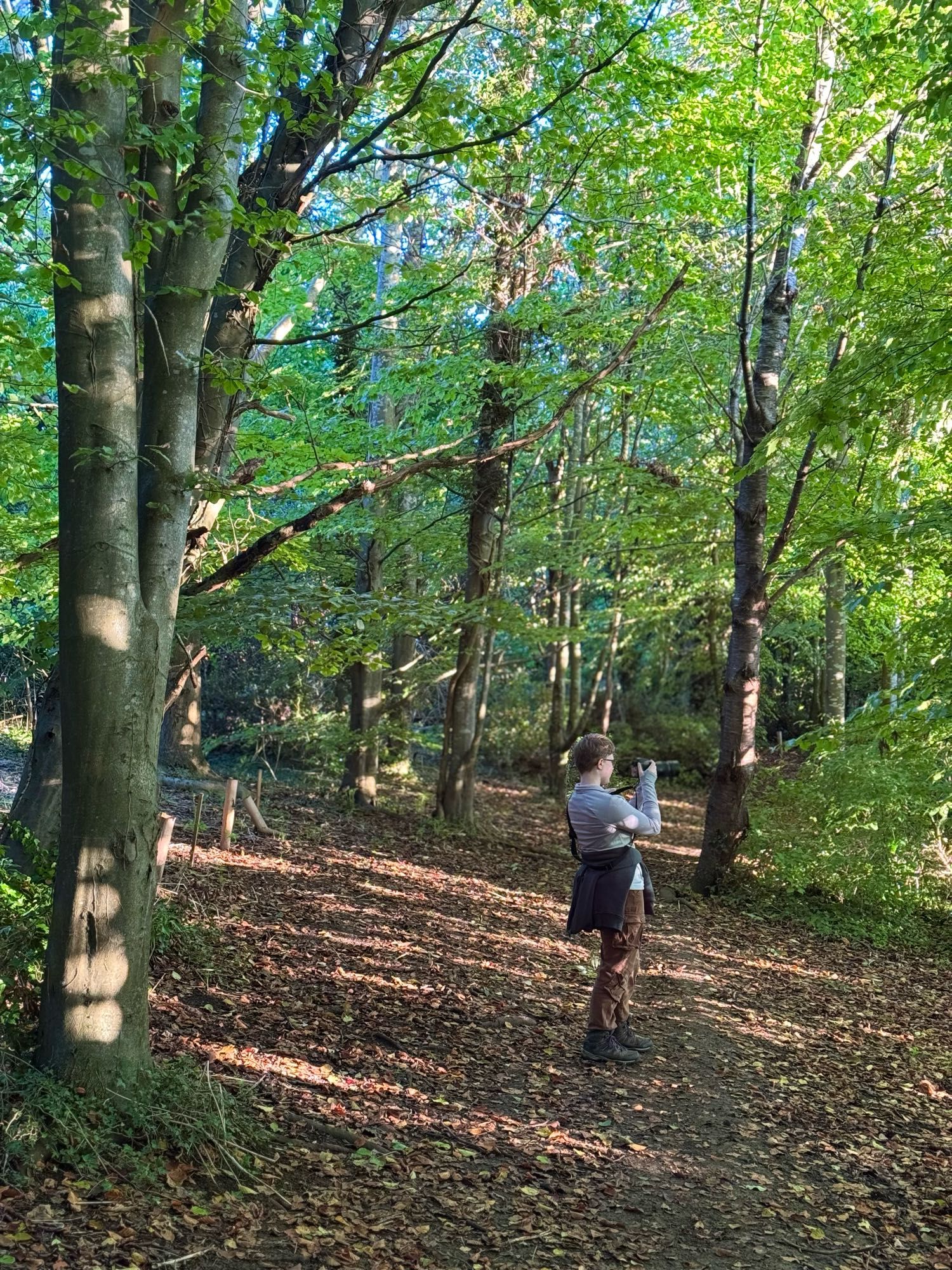 Woodland scene with a young person taking a photograph in the foreground