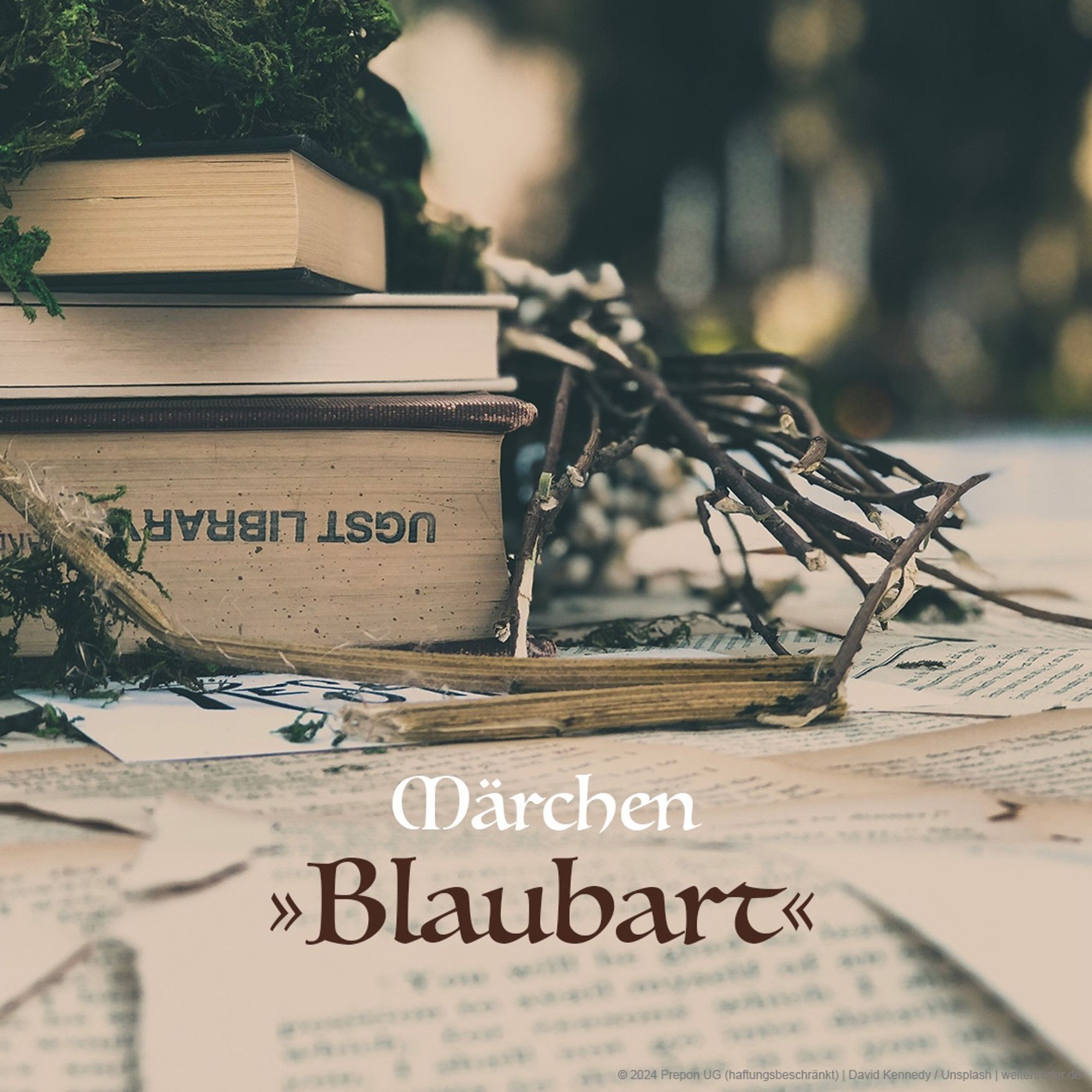 Ein kleiner Stapel Bücher liegt auf einigen losen Buchseiten. Darauf sind Moos und Zweige drapiert. Darunter steht: „Märchen: Blaubart“.