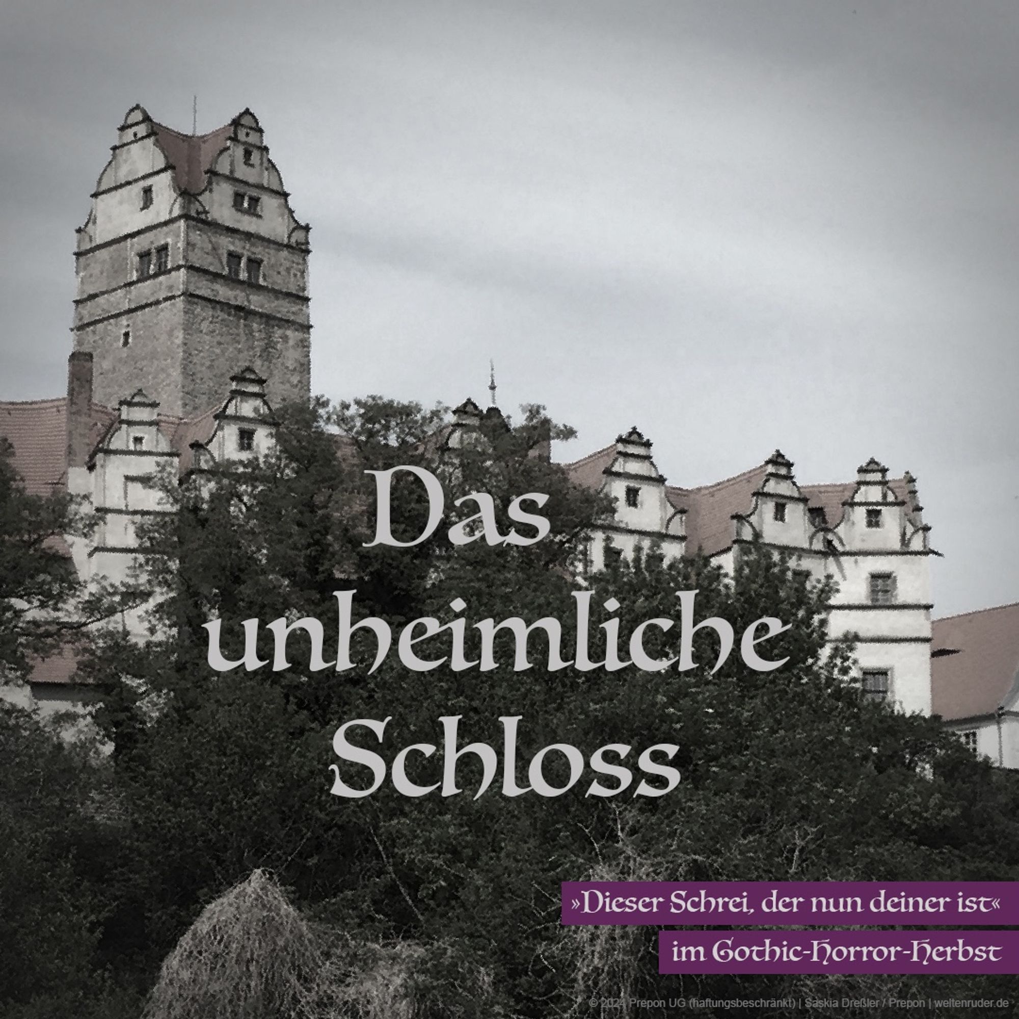 Das Schloss Plötzkau von der Saale aus gesehen. Es erhebt sich über den Bäumen. Prominent ist der gewaltige Bergfried, der sich über den Renaissance-Giebeln des Wohntraktes erhebt. Darüber steht: „Das unheimliche Schloss“.