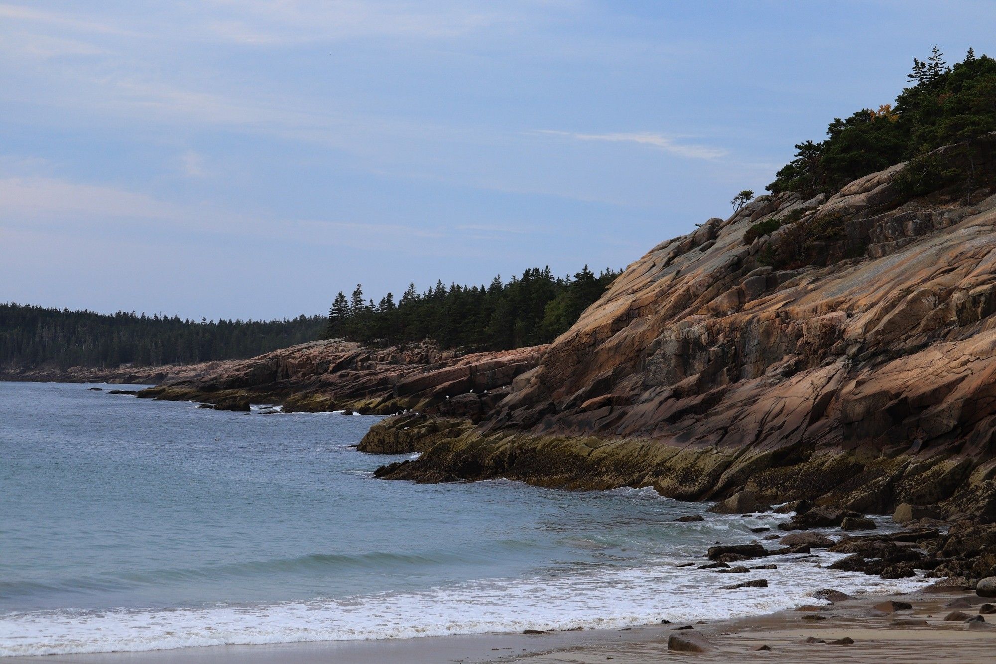 A picture of the coastline of Maine. Rounded cliffs of granite slide down in to the ocean, complimented by evergreen pine trees and a frothy surf. The sky is hazy and blue.