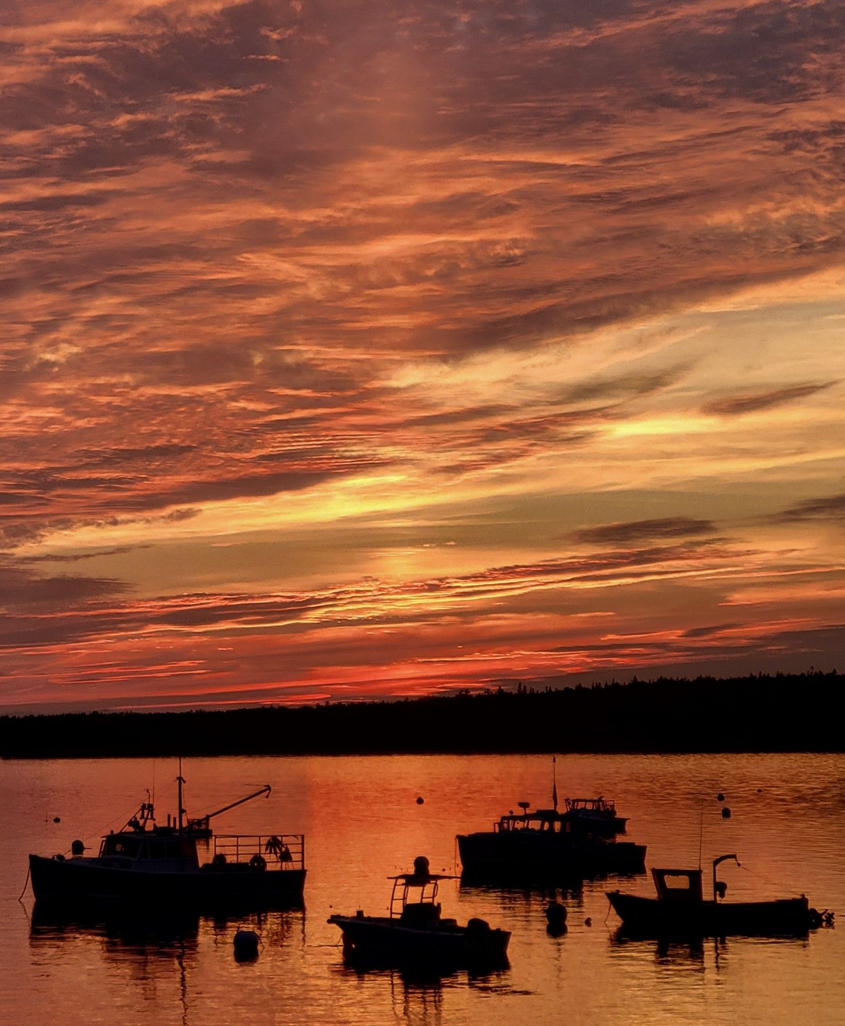 An expansive sunset explodes across the sky. Beneath, the silhouettes of boats float on the surface of the water. Primary colors are orange and black.