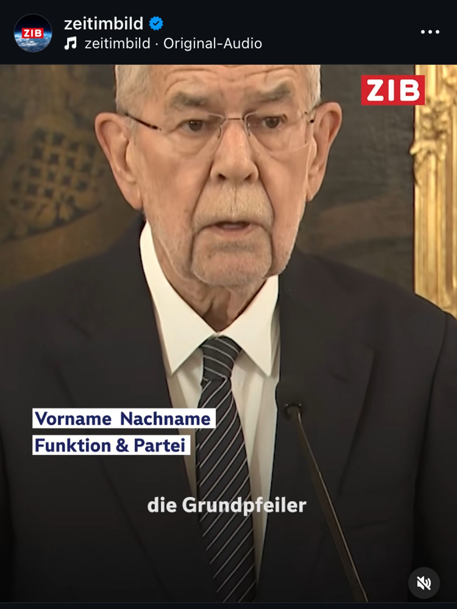 Österreichischer Bundespräsident Van der Bellen. Im Insert des Beitrages steht nur „Vorname, Nachname, Funktion und Partei“