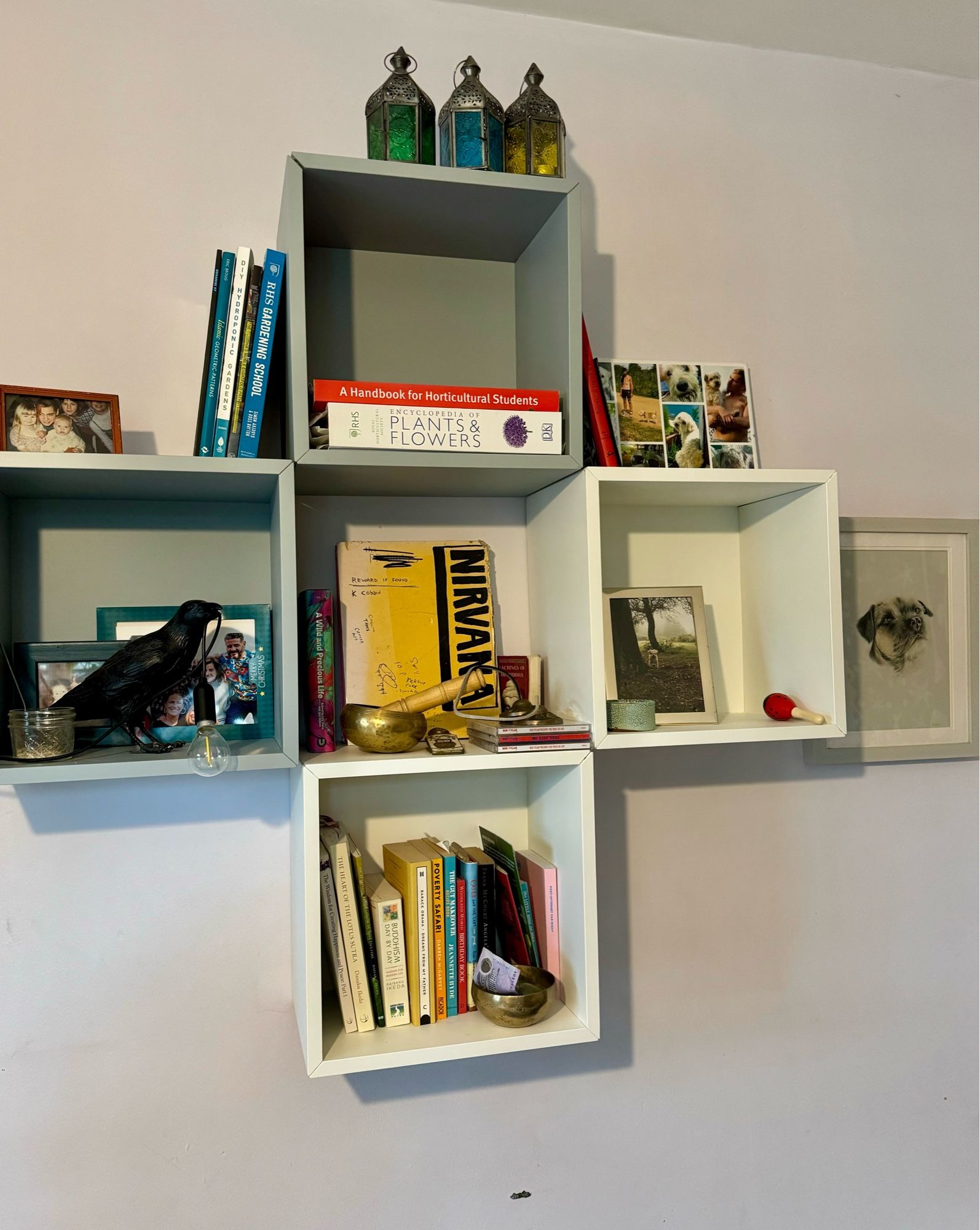 Four cube shaped shelves. Two grey two white. Mounted on the bedroom wall and semi filled up with books and trinkets and photos