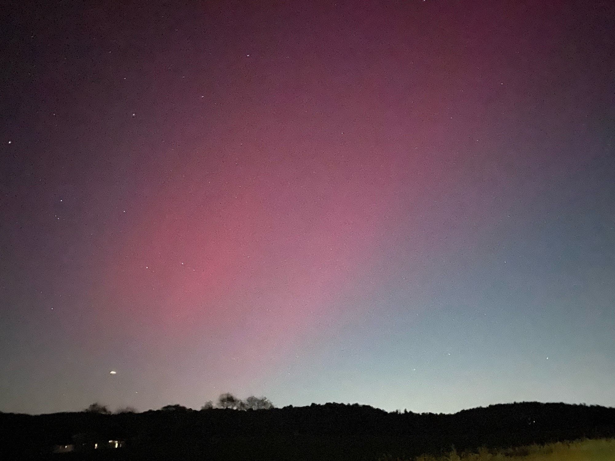 Tree-lined view of the horizon under the night sky with water-colory pinks and purples dotted with stars