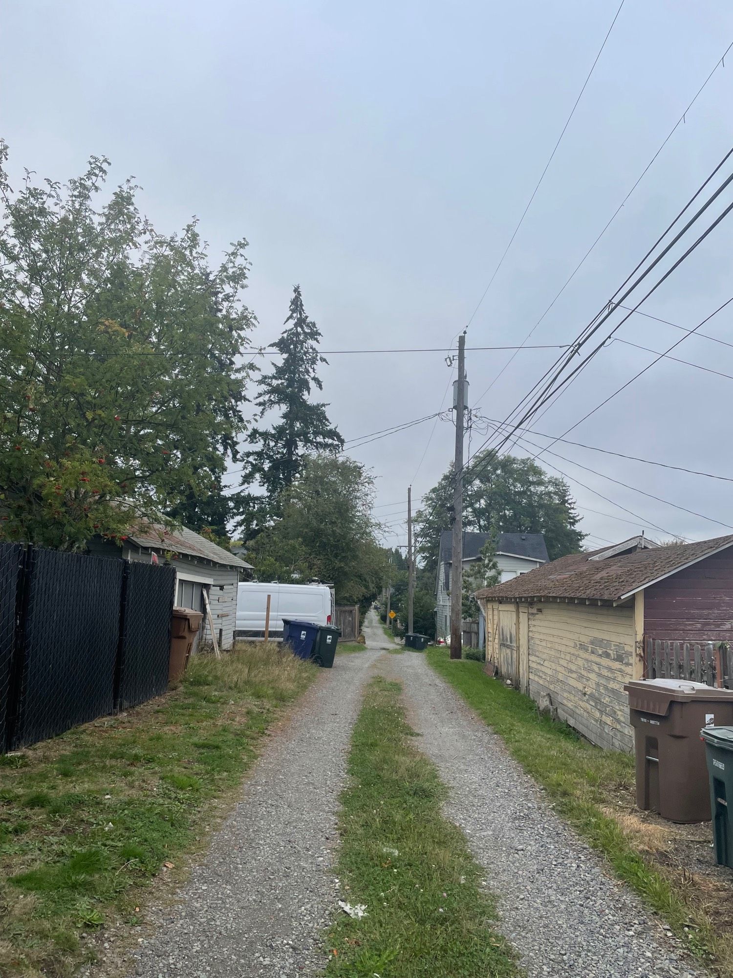 A run down gravel alley with evergreens against a gray sky.