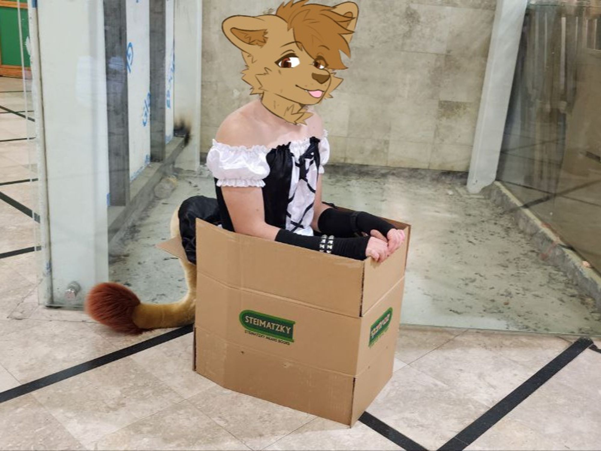 Picture of myself in a maid outfit sitting in a box. face covered by art of my fursona.