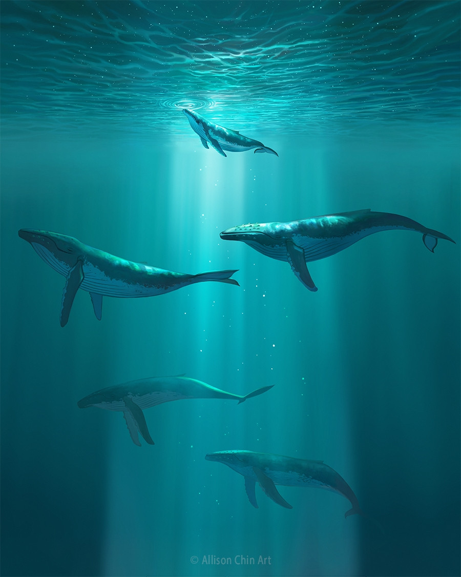 Illustration of a humpback whale family 