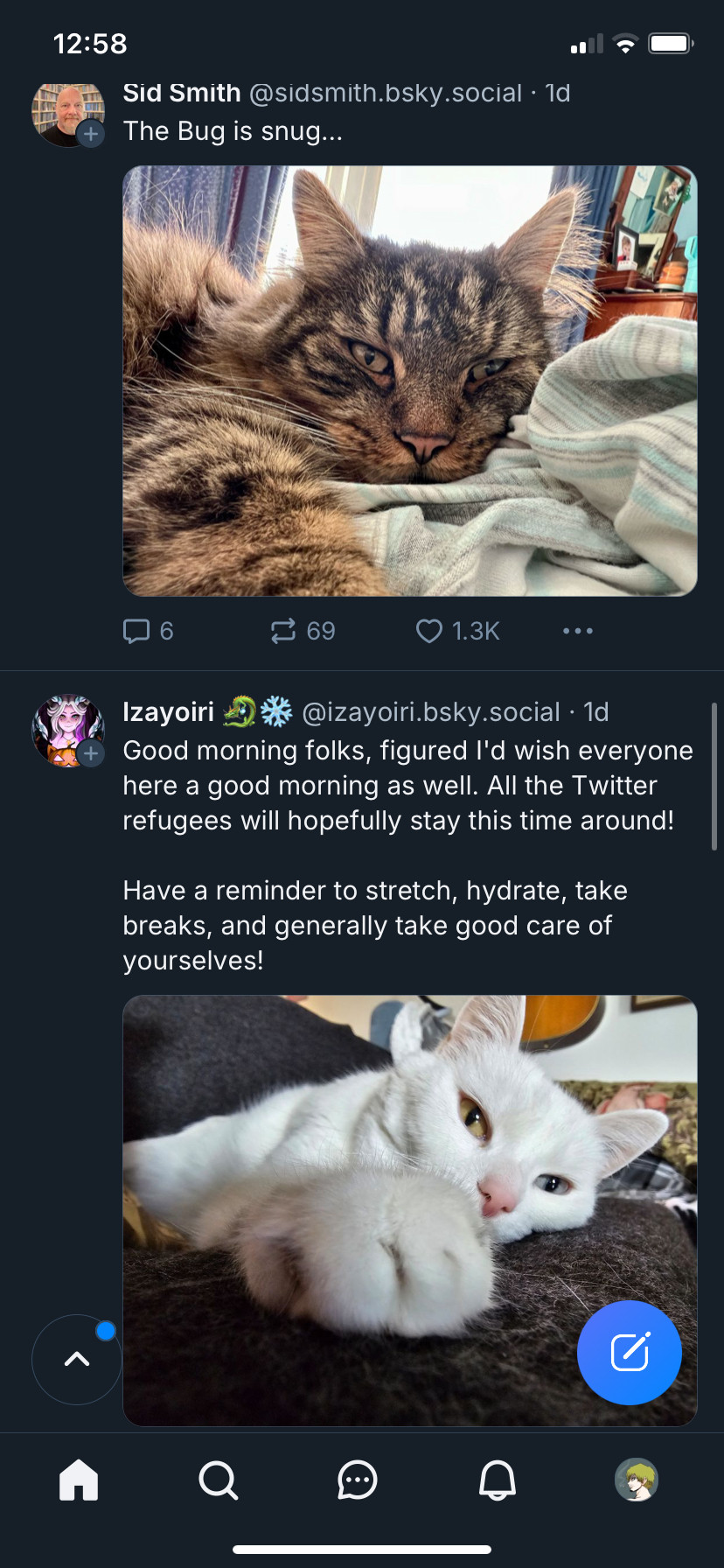 Two different people post pictures of their cats laying in the exact same position.