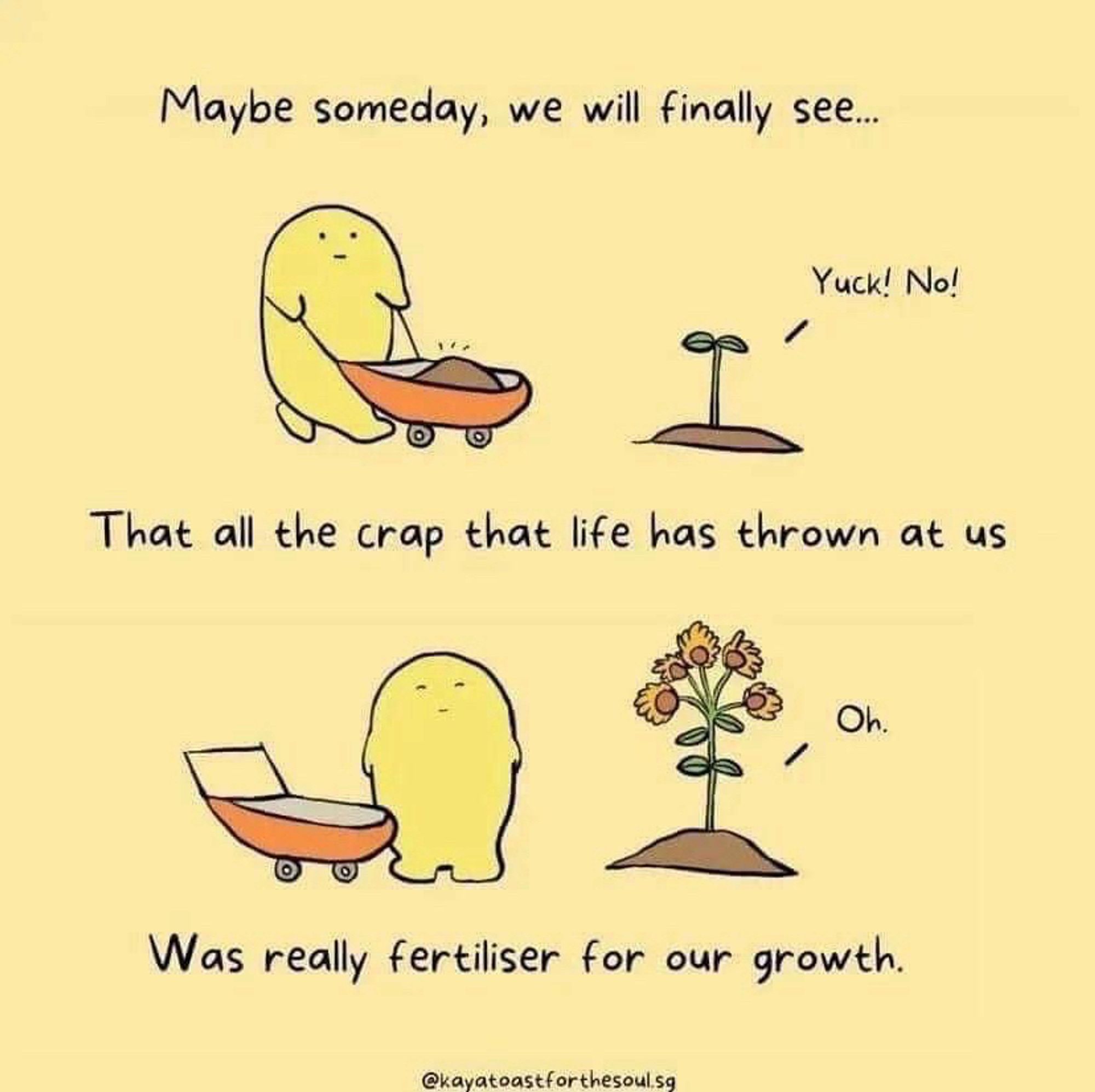 Maybe someday, we will finally see...

That all the crap that life has thrown at us.

Was really fertiliser for our growth.