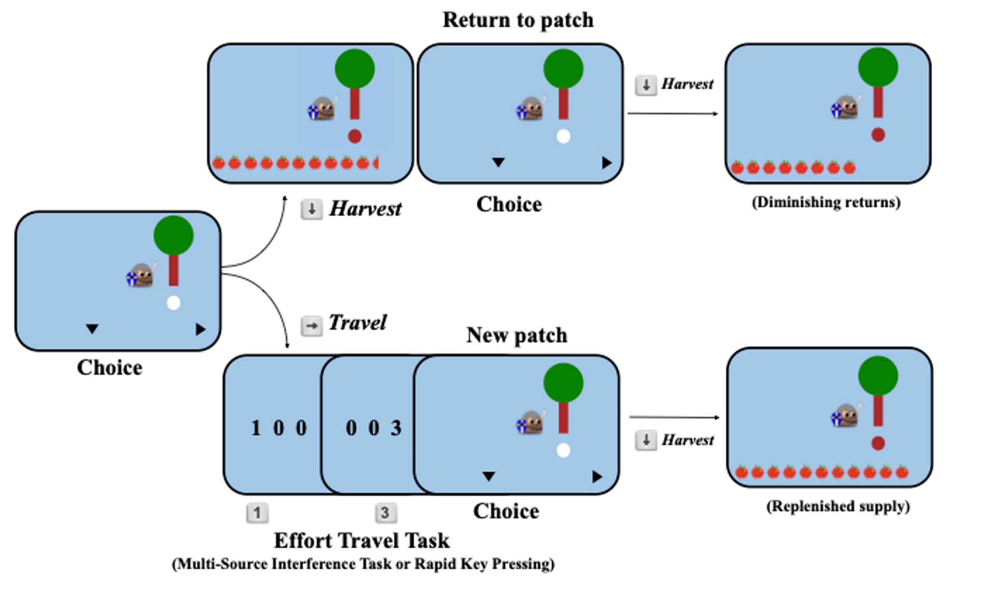 Figure 1: Foraging trial diagram. On each trial participants chose to harvest the tree they were at (down arrow key) or travel to a new tree (right arrow key), during the travel they completed an effortful task, after which they arrived at a new patch with a replenished supply of apples. The tree is a green circle and rectangular brown trunk. The apples are red and lined up in a row on the bottom of the screen. There is a warrior avatar with a shield, helmet, and sword who jumps to harvest the apples.