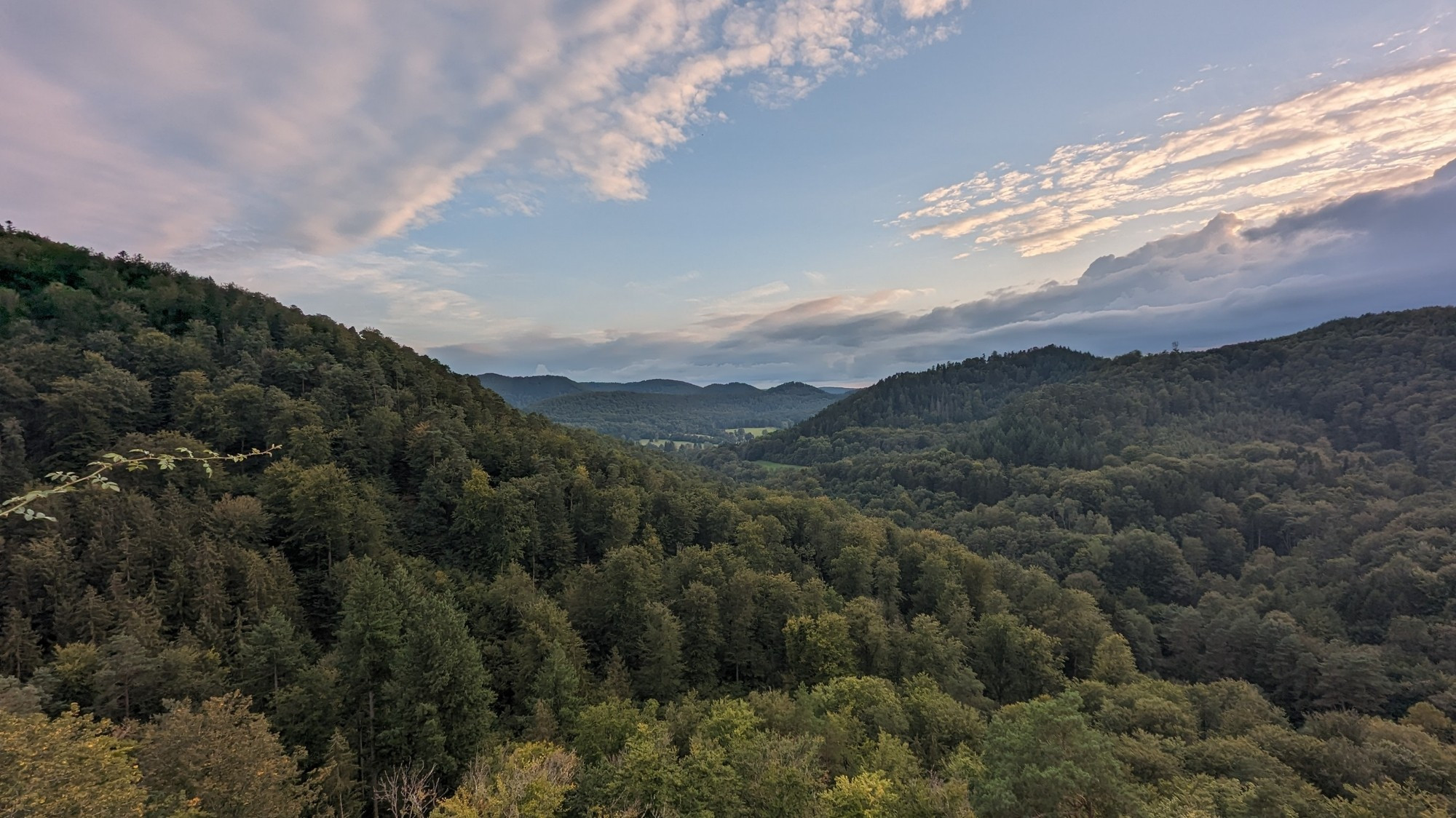 View over a green forest valley. The northern "Vosges" at the horizon.