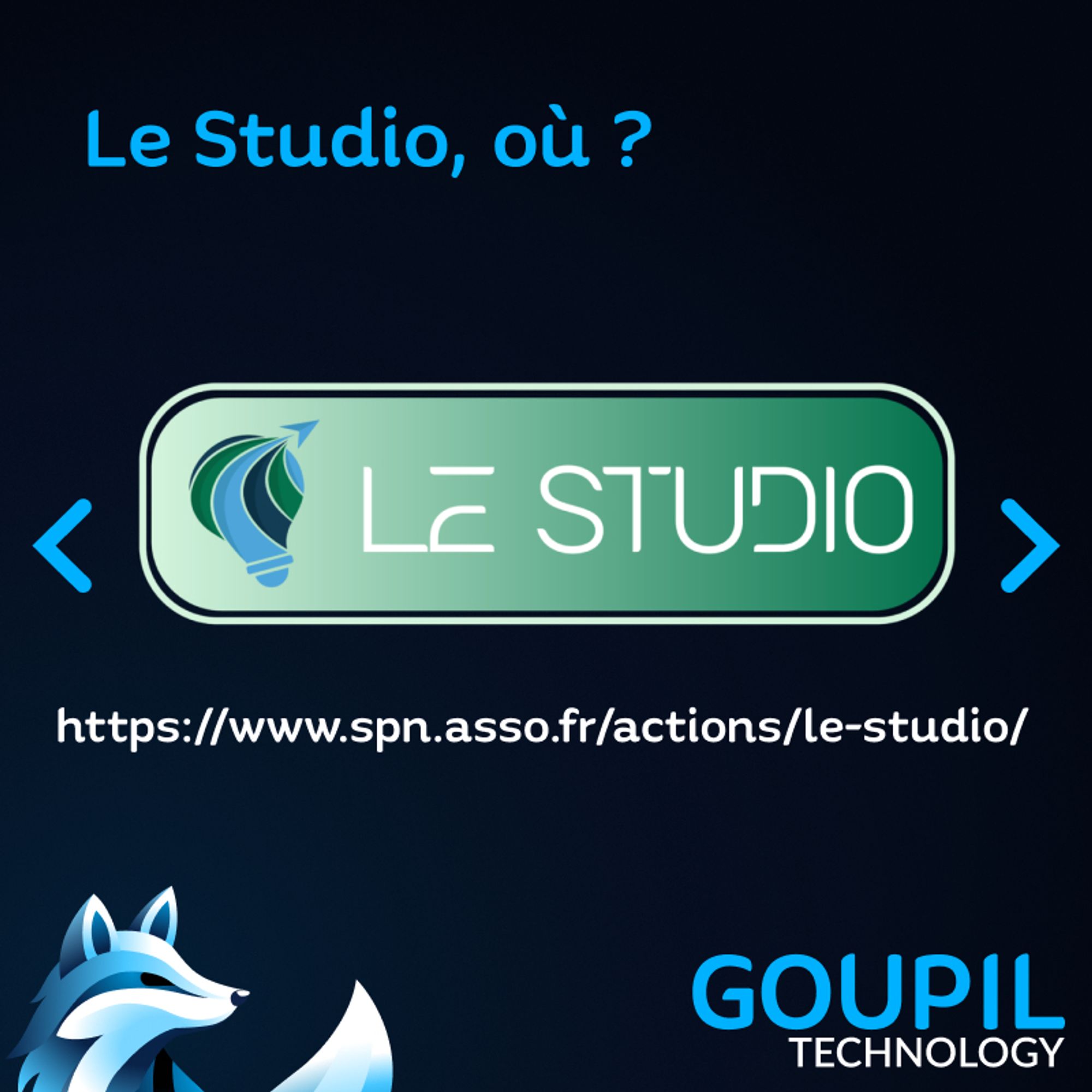 Un texte : "Le Studio, où ?" et le lien https://www.spn.asso.fr/actions/le-studio/ avec le logo Le Studio au milieu de l'image