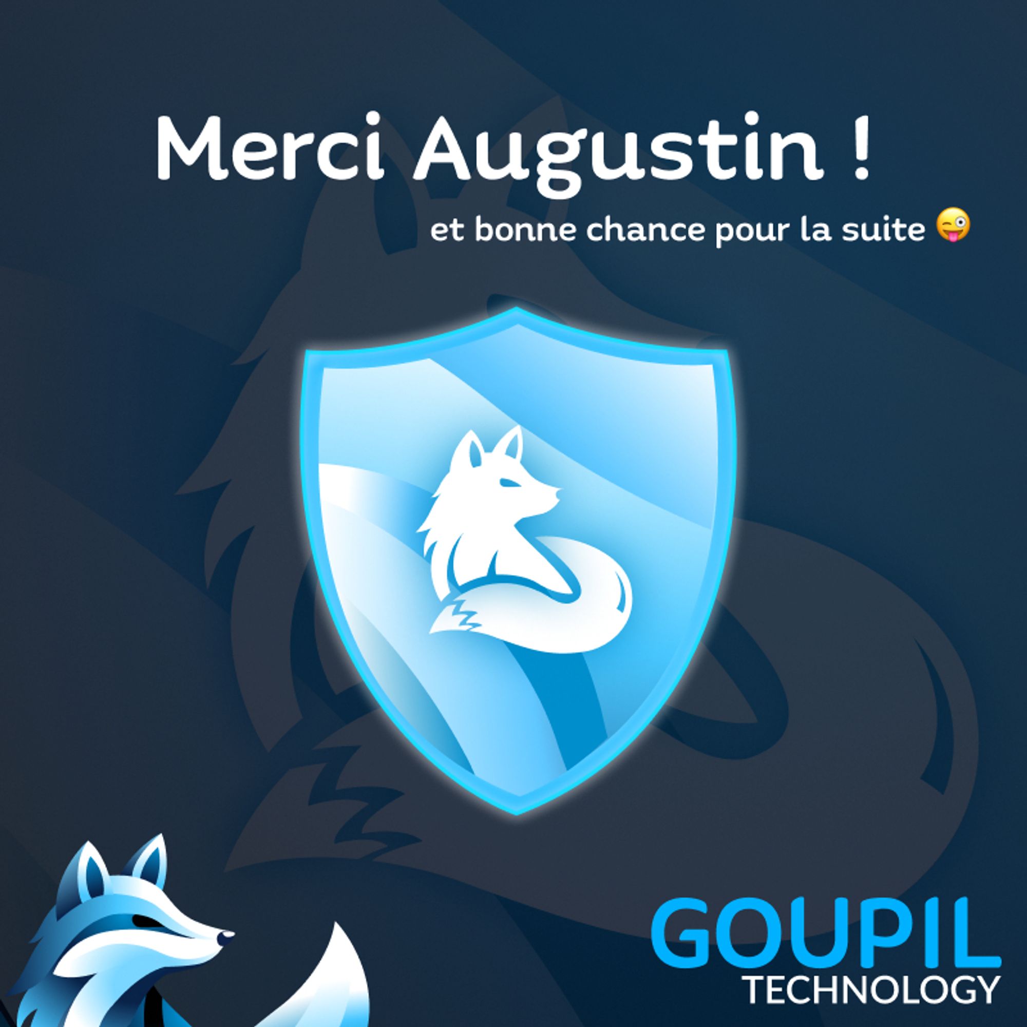 Merci Augustin ! et bonne chance pour la suite
Sur fond mêlant cybersécurité et Goupil Technology