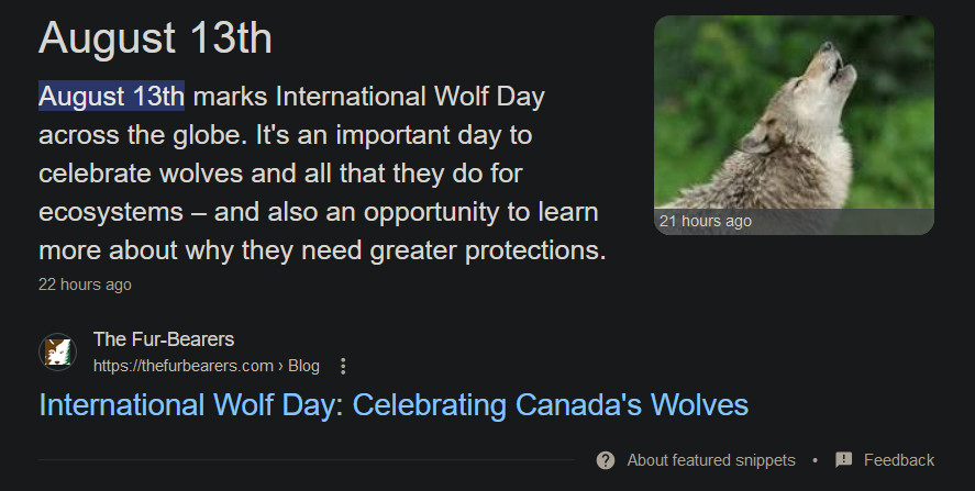 A google tab describing the International Wolf Day:
"August 13th marks International Wolf Day across the globe. It's an important day to celebrate wolves and all they do for ecosystems – and also an opportunity to learn more about why they need greater protections."