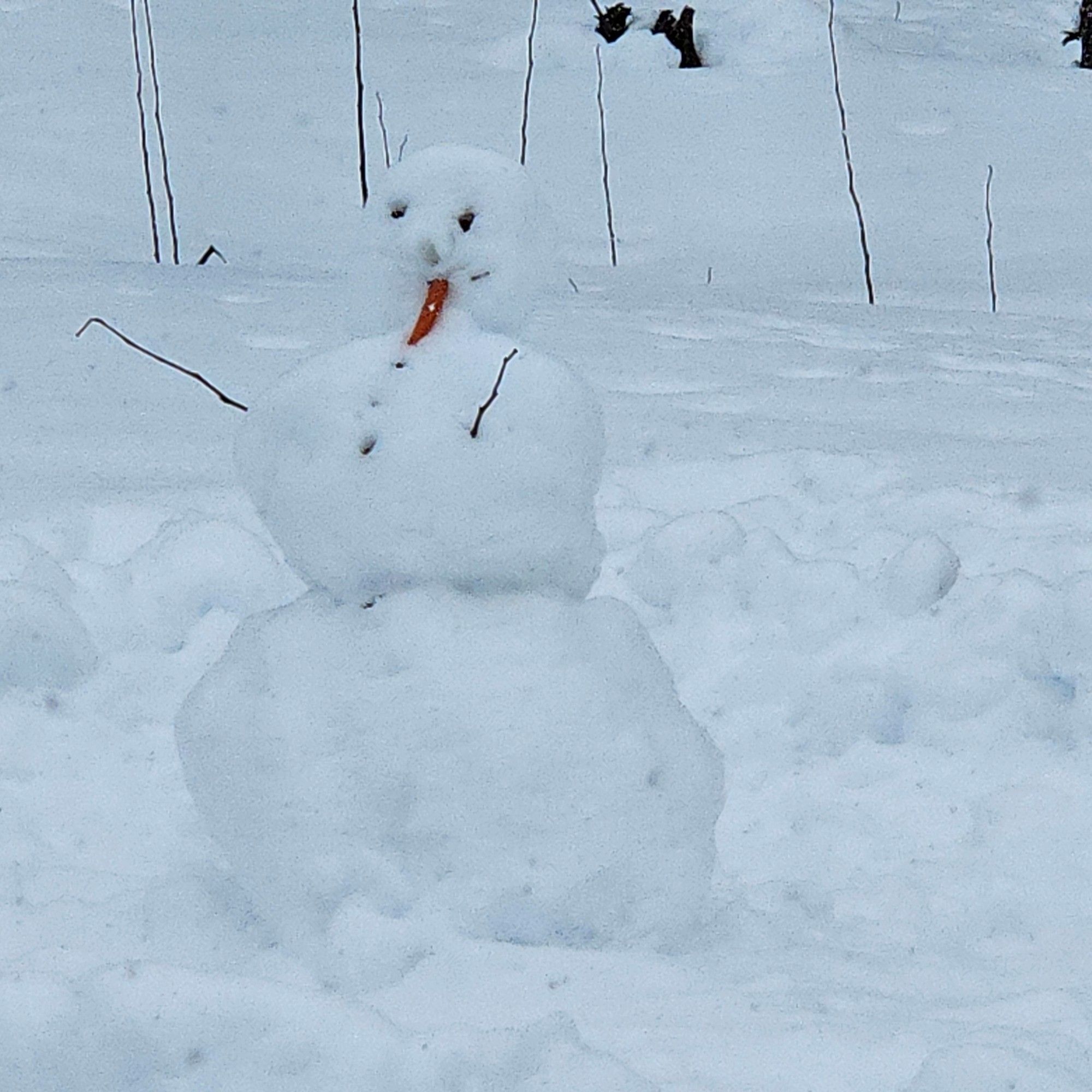 Bonhomme de neige suite à une belle bordée, 10 mars 2024, Trois-Rivières, Québec