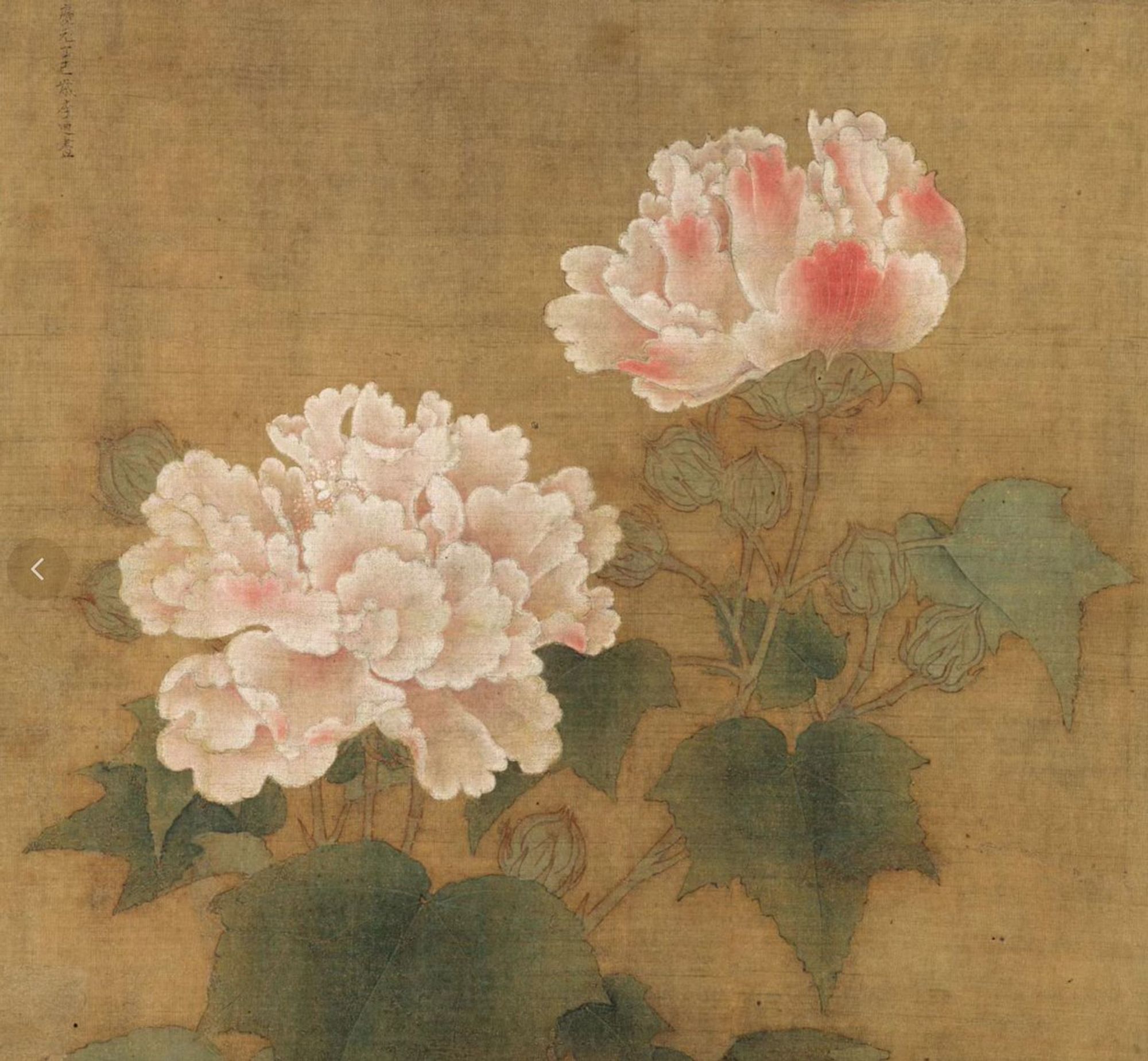 🎨 《紅白芙蓉圖》 南宋 李迪