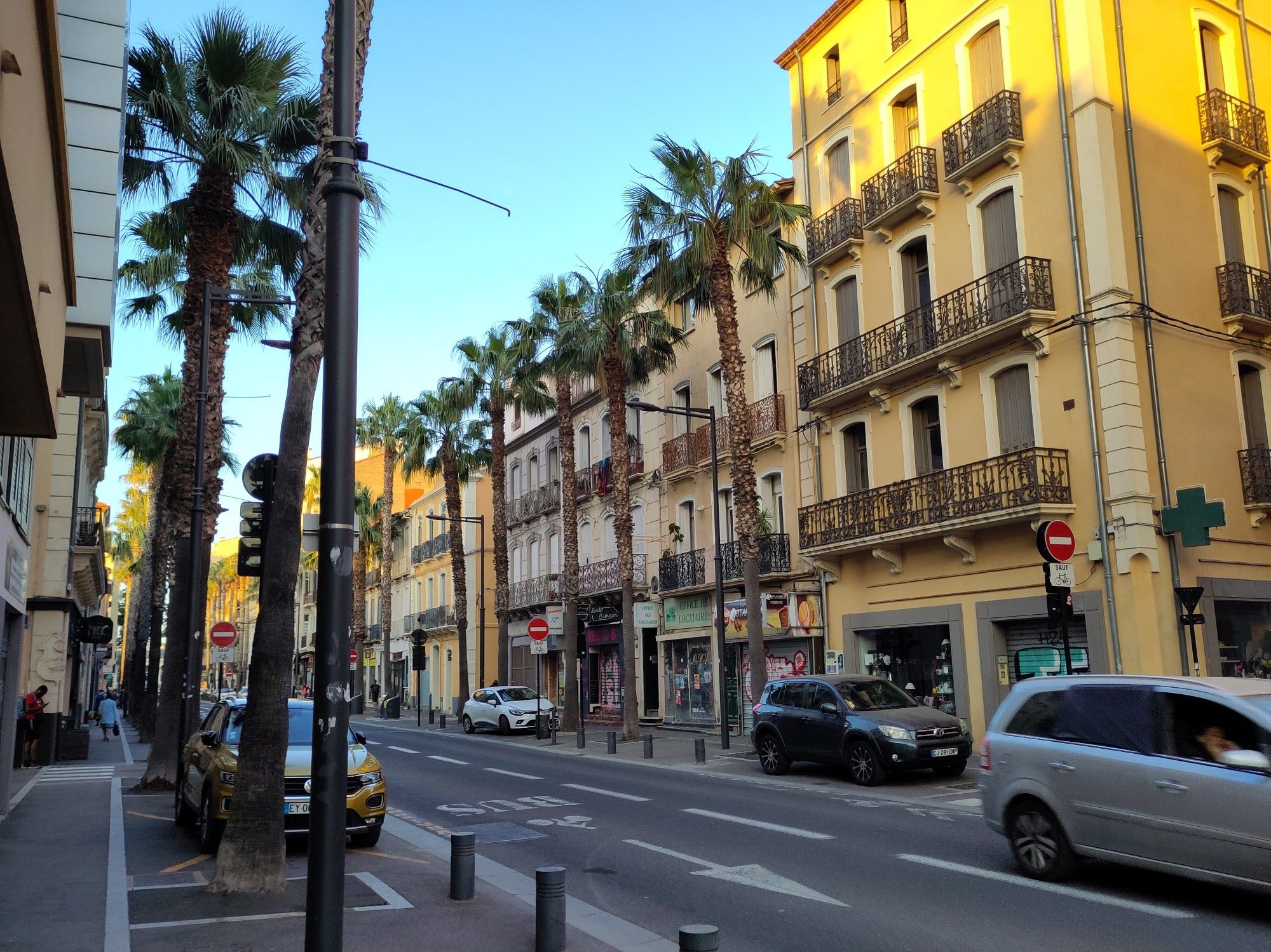 View of a street in Perpignan with palm trees