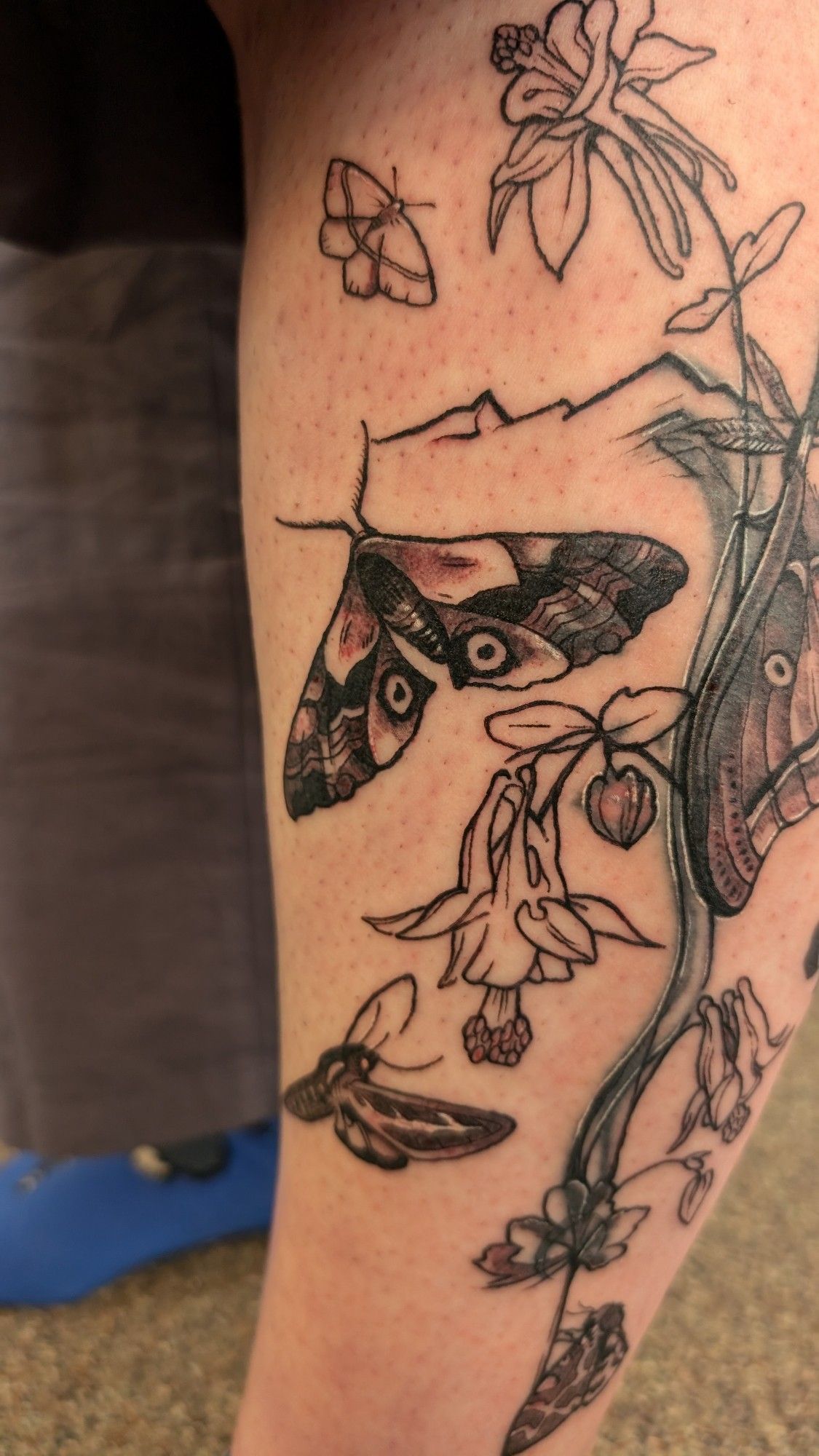 A calf tattoo featuring various different moths with columbine flowers