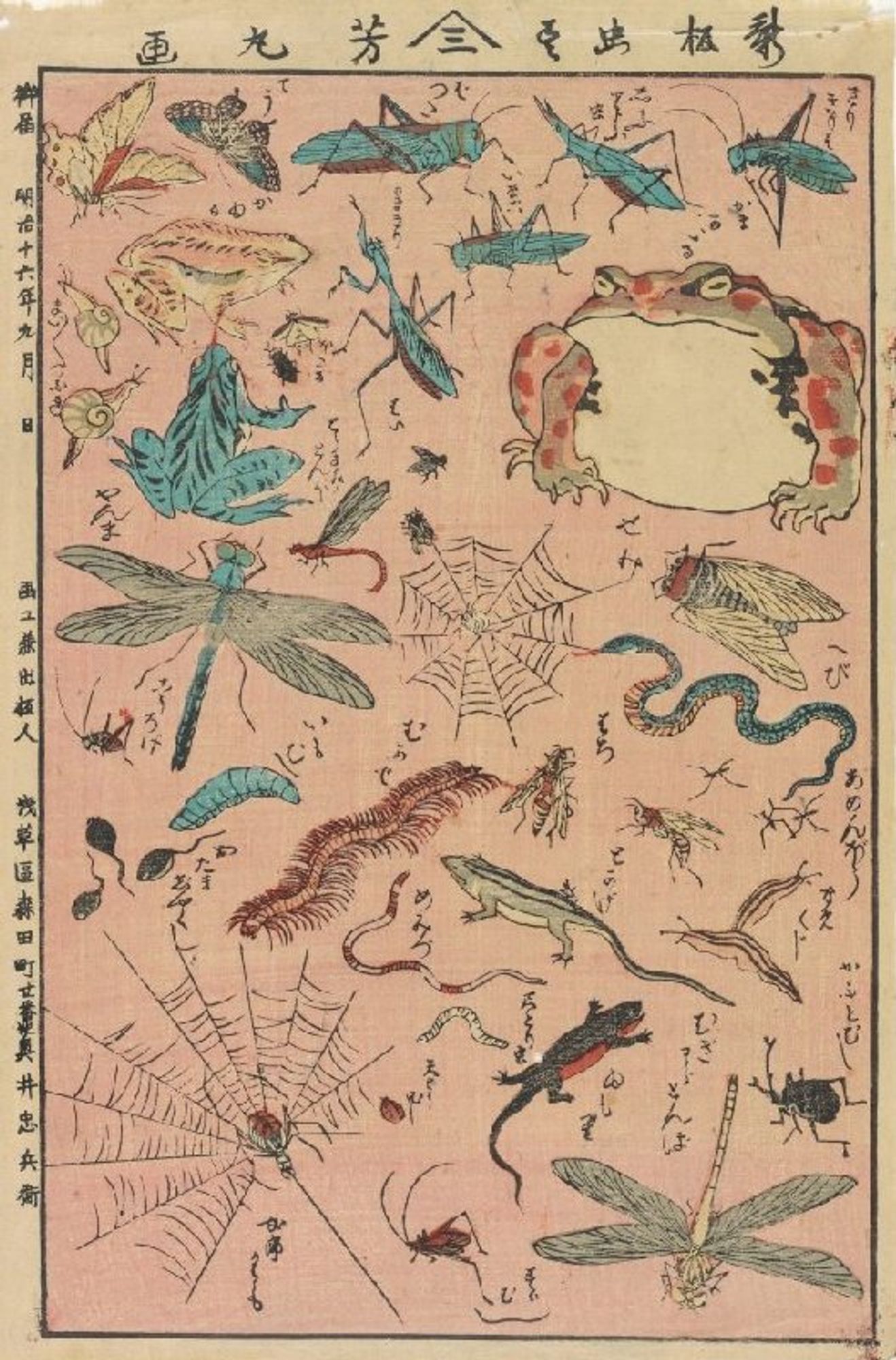 a Japanese print on a pinkish background with a big fat toad, some lizards, a couple spiderwebs and tons of bugs like crickets, dragonflies and centipedes