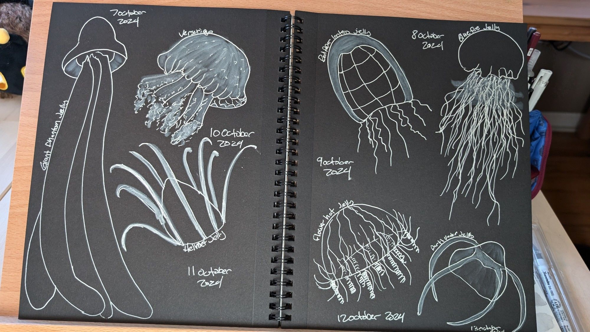 An open sketchbook with illustrations of 7 different jellyfish in white ink on black paper 