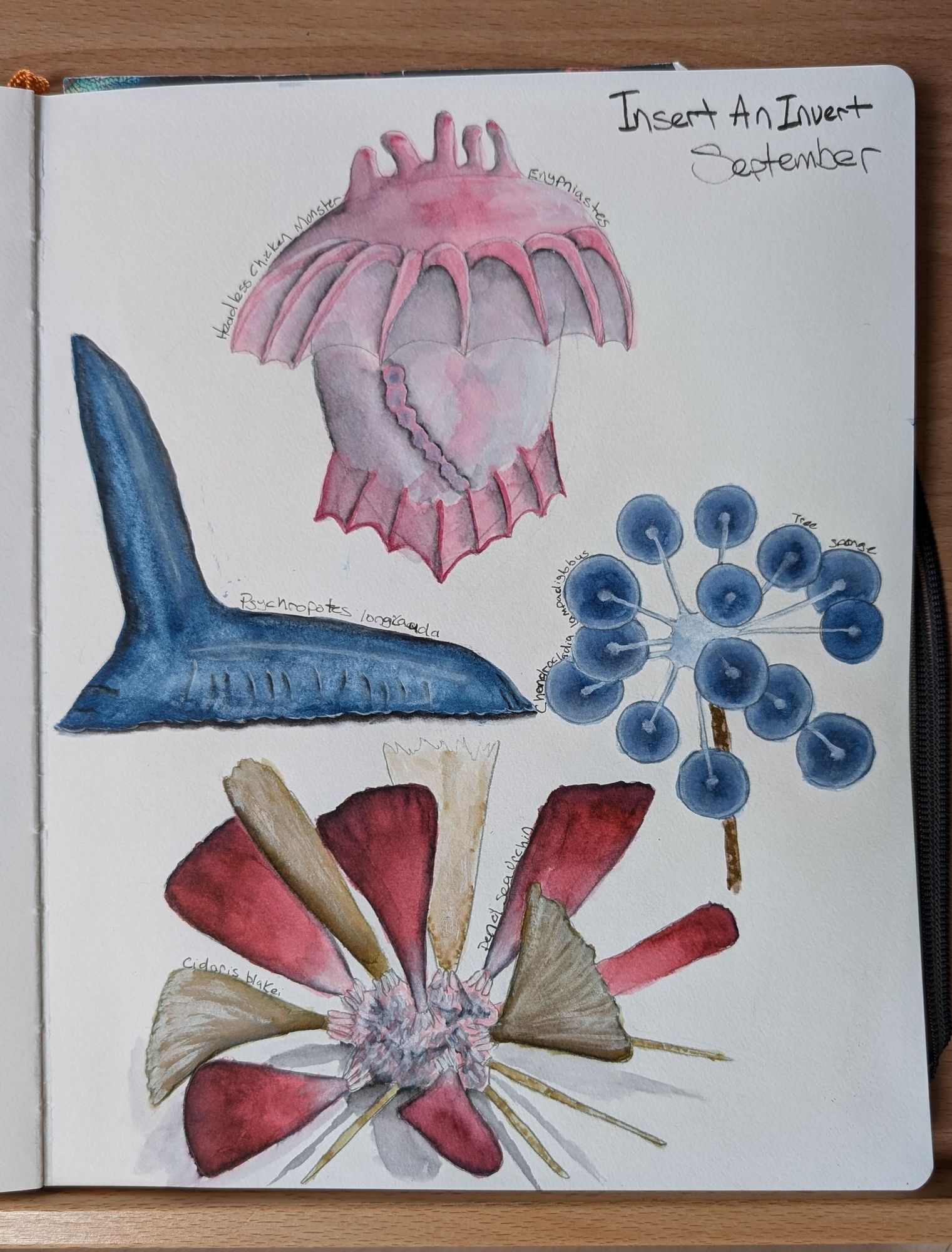 An open sketchbook with watercolor illustrations of four deep sea marine inverts