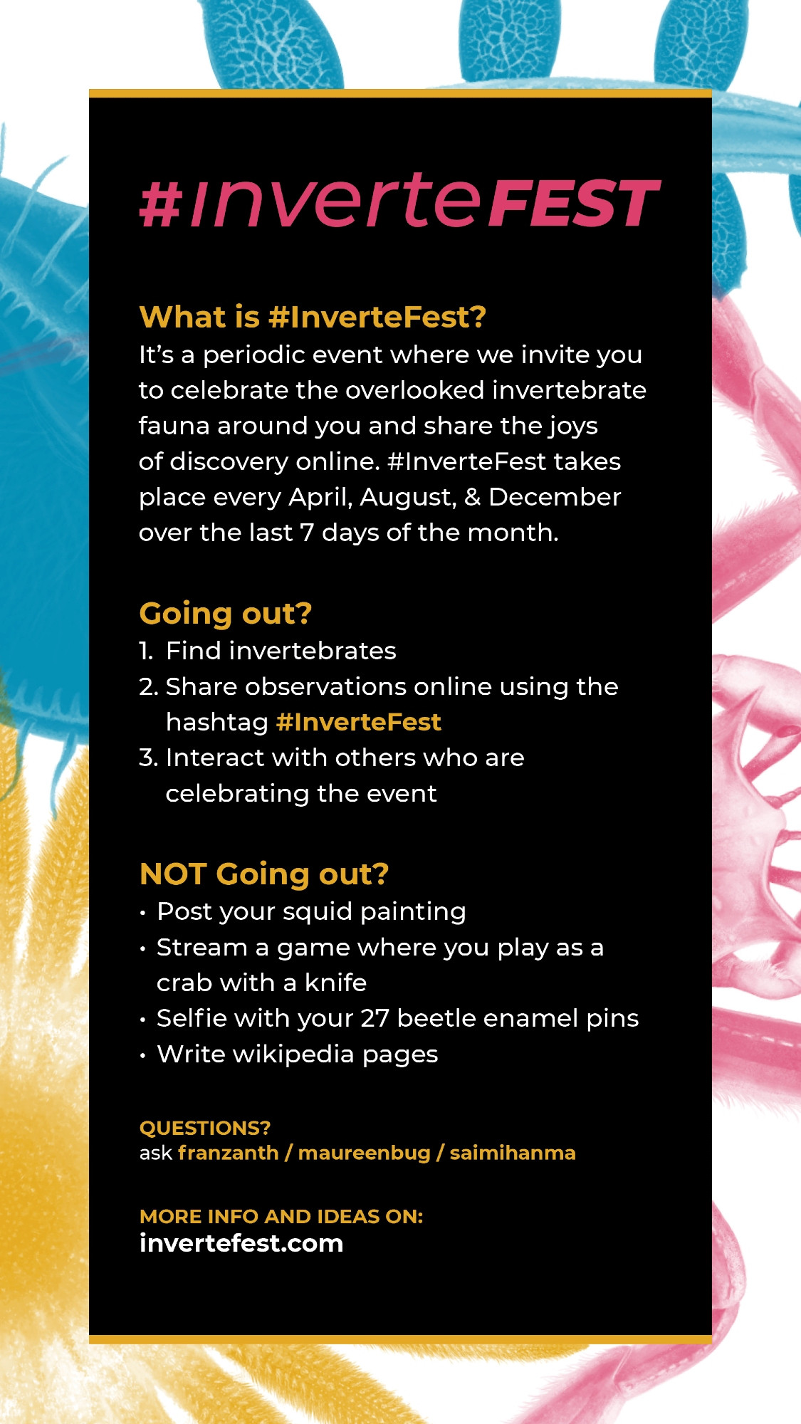 What is #InverteFest?
It's a periodic event where we invite you to celebrate the overlooked invertebrate fauna around you and share the joys of discovery online. #InverteFest takes place every April, August, & December over the last 7 days of the month.

Going out?
1. Find invertebrates
2. Share observations online using the hashtag #InverteFest
3. Interact with others who are celebrating the event

NOT Going out?
- Post your squid painting
- Stream a game where you play as a crab with a knife
- Selfie with your 27 beetle enamel pins
- Write wikipedia pages

Questions?
ask franzanth / maureenbug / saimihanma

More info and ideas on:
invertefest.com
