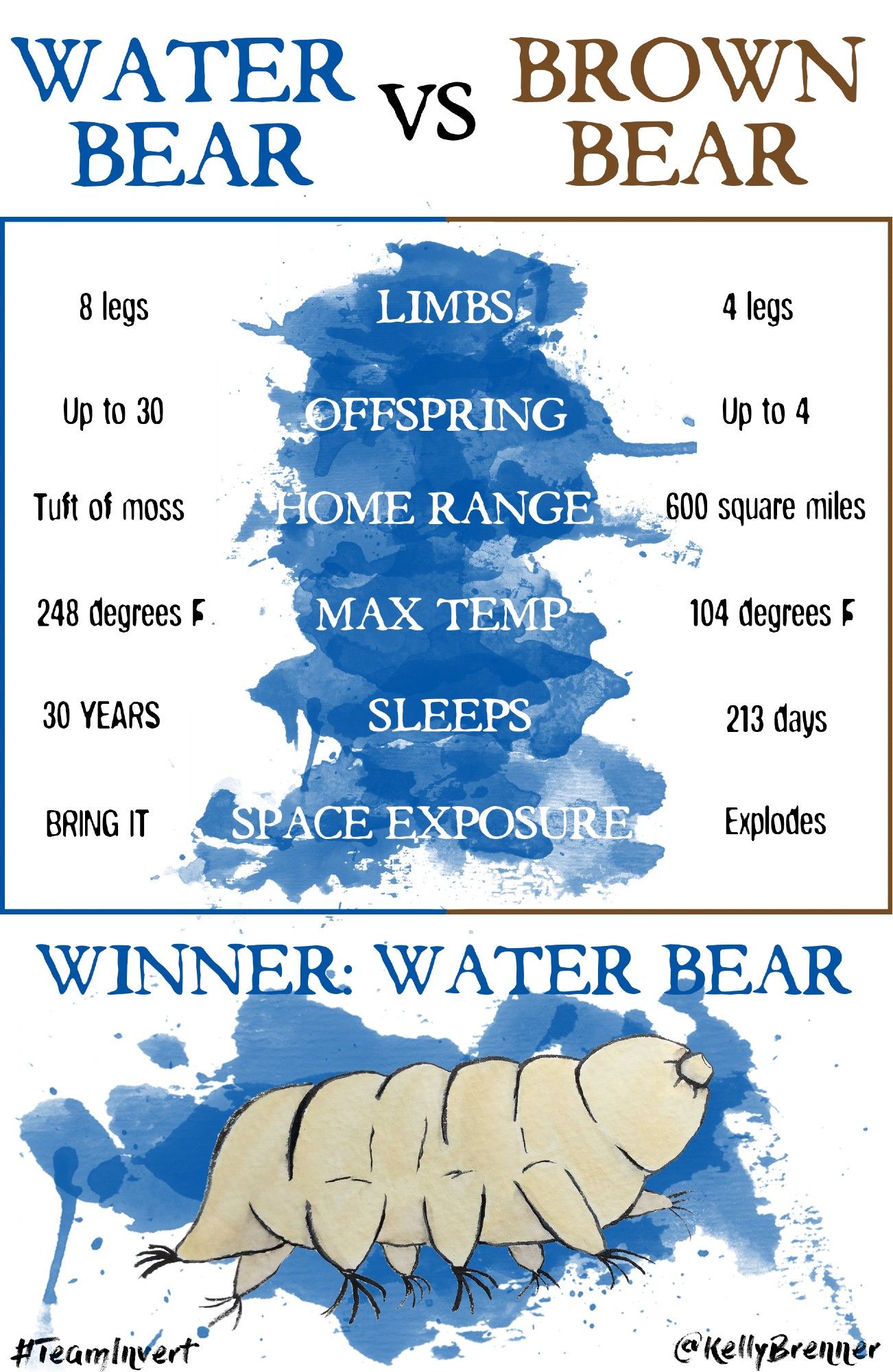 water bear vs brown bear infographic with key points of their life histories showing that water bears are infinitely cooler and more badass