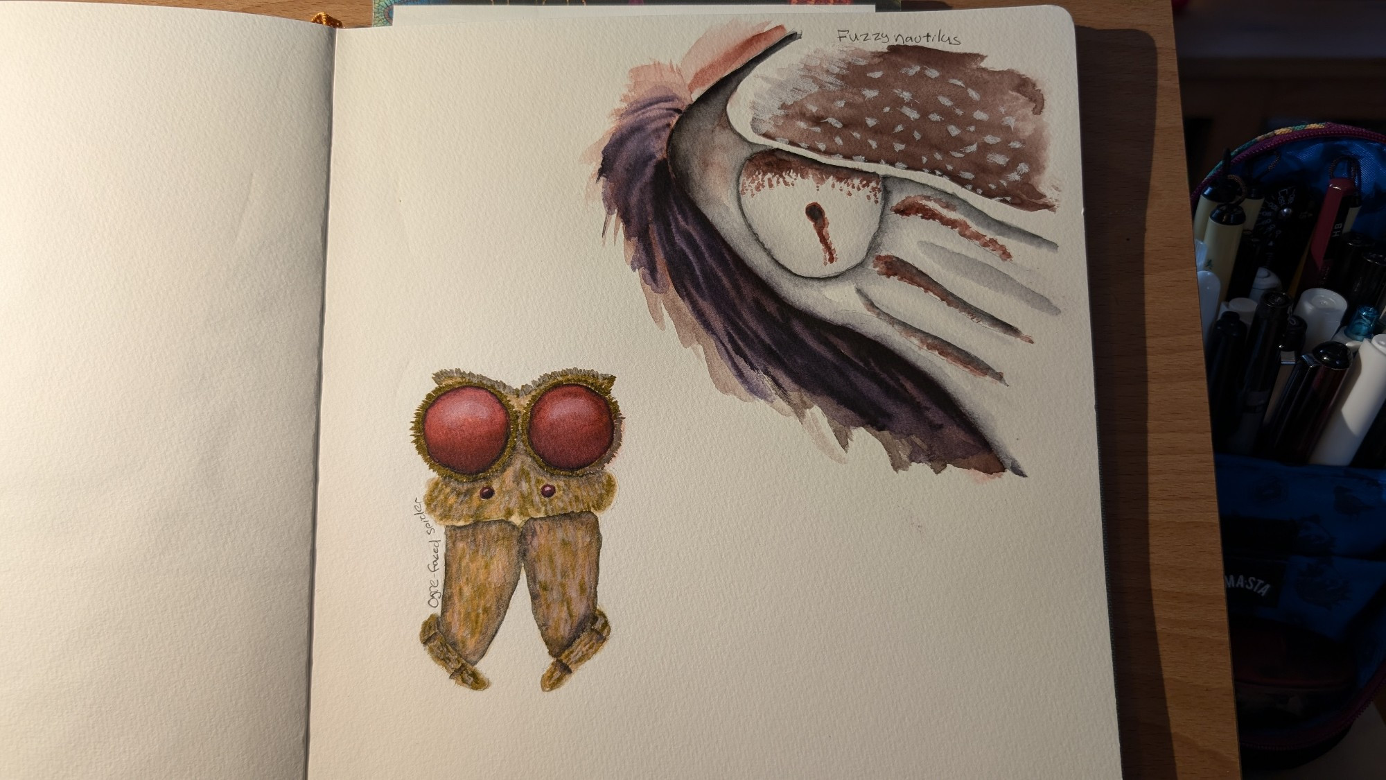 An open watercolor journal with two illustrations of the eyes of a nautilus and a spider 