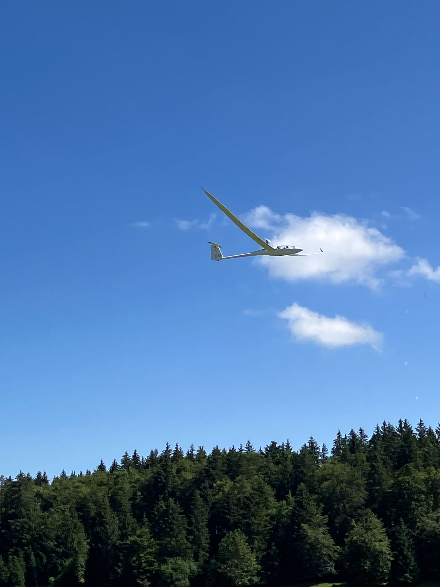 Ein Segelflugzeug mit Rucksackmotor, mit dem es starten kann, darunter sieht man die dunklen Baumspitzen des Waldes