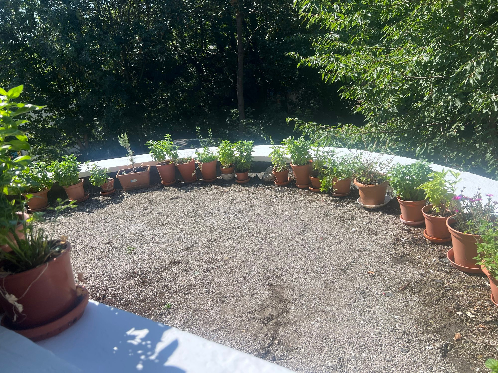 the space outside my kitchen window with a lot of potted herbs, the masonry is freshly painted