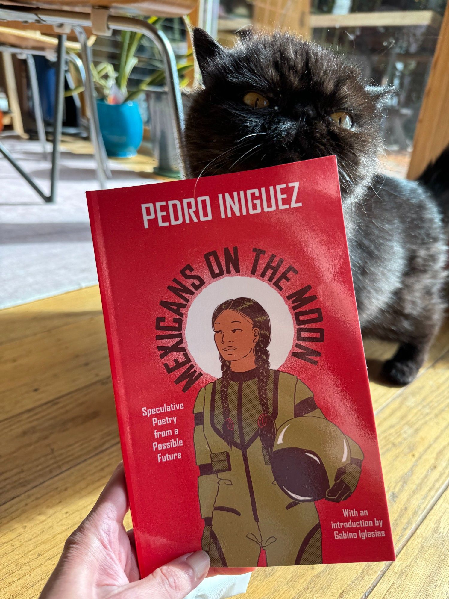 My hand holds Mexicans on the Moon by Pedro Iniquez. the Cover is red and has an image of a brown skinned, black braided woman in a green space suit. Batman, my little black cat, looms in the background.