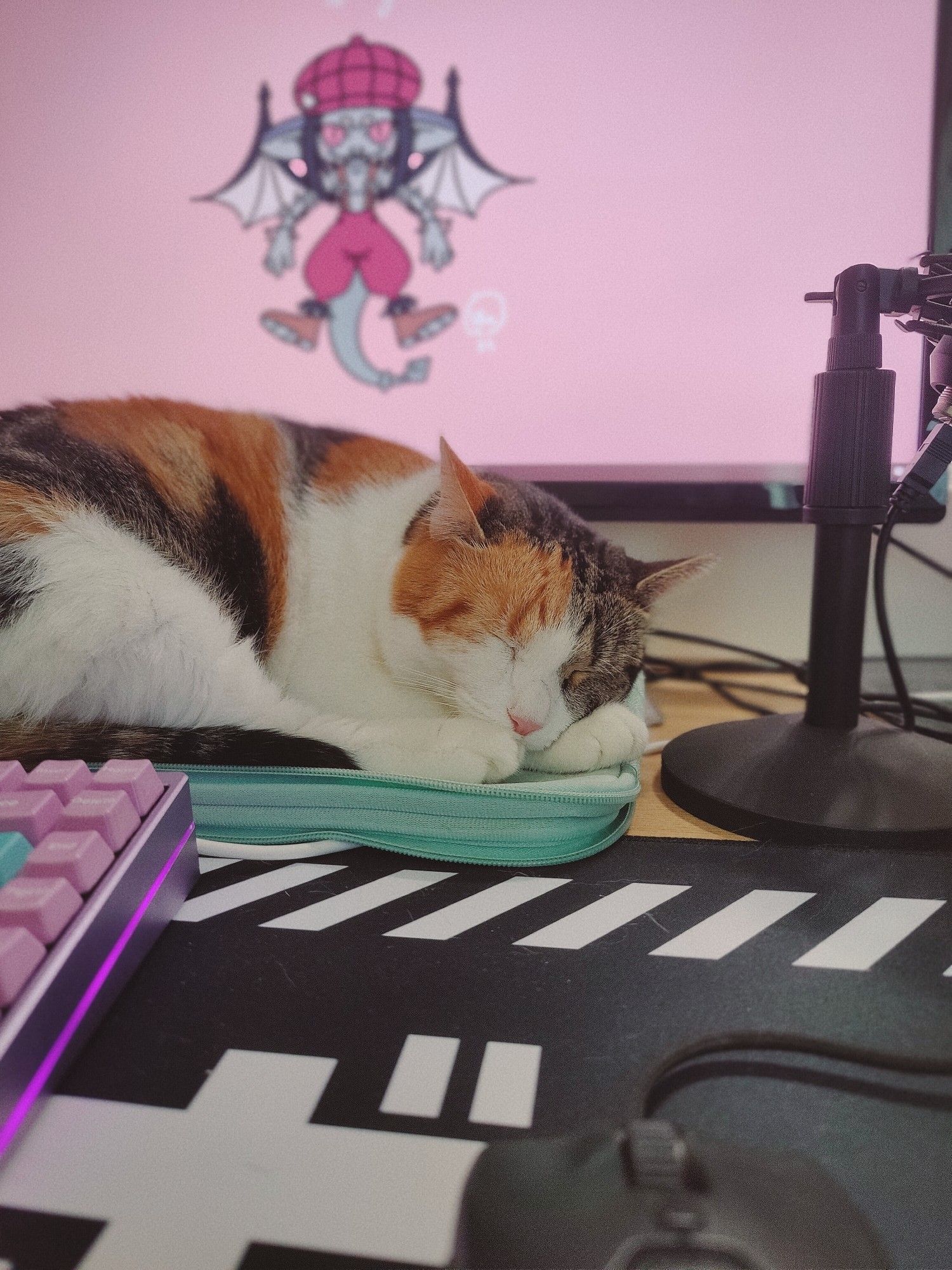 picture of my desk with a mechanical keyboard, a mouse, a microphone, and a calico cat sleeping on a soft iPad case in front of my PC screen