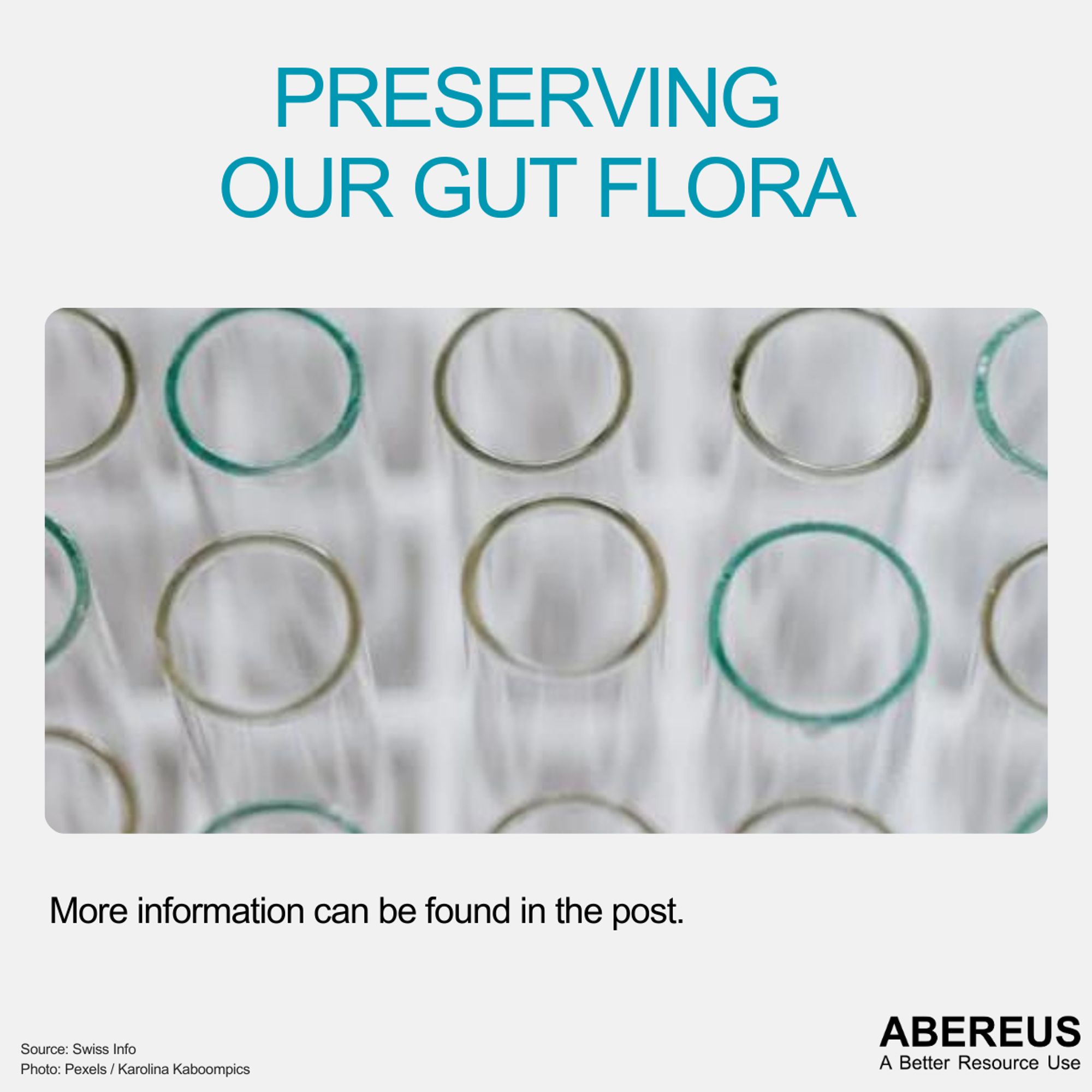 In the middle of the picture, there is a photo of several cylinder shaped transparent pipes. It looks like a macro photo from a lab.
Above the photo is the text "Preserving our Gut Flora" and below is the logo of ABEREUS.