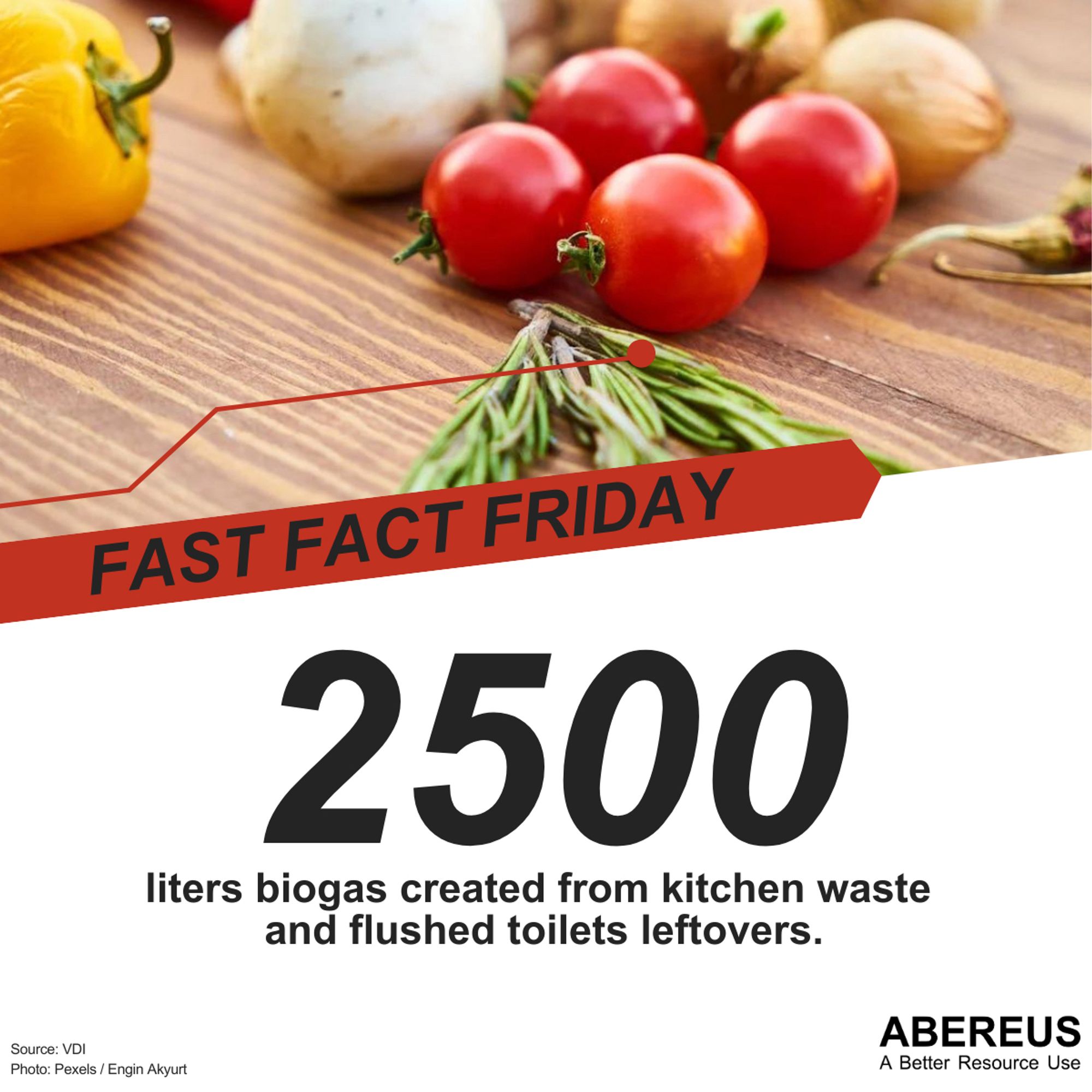 In the upper part of the picture, there is a photo of a wooden plate on which there are four tomatoes you can see part of a yellow pepper, some garlic, onions, and other vegetables.
Below is the text "Fast Fact Friday - 2.500 l #biogas are created from #kitchen #waste and flushed #toilet leftovers through a HomeBiogas system." as well as the logo of Abereus.