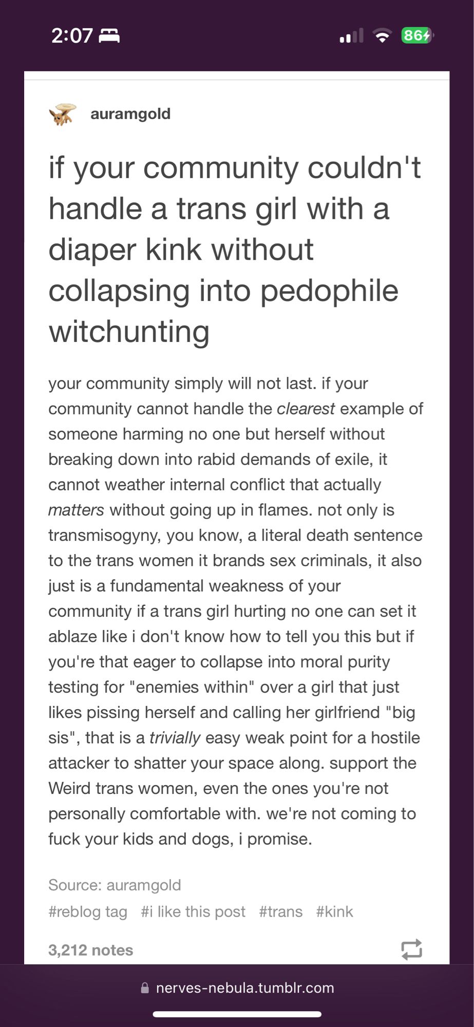 if your community couldn't handle a trans girl with a diaper kink without collapsing into pedophile witchunting

your community simply will not last. if your community cannot handle the clearest example of someone harming no one but herself without breaking down into rabid demands of exile, it cannot weather internal conflict that actually matters without going up in flames. not only is transmisogyny, you know, a literal death sentence to the trans women it brands sex criminals, it also just is a fundamental weakness of your community if a trans girl hurting no one can set it ablaze like i don't know how to tell you this but if you're that eager to collapse into moral purity testing for "enemies within" over a girl that just likes pissing herself and calling her girlfriend "big sis", that is a trivially easy weak point for a hostile attacker to shatter your space along. support the Weird trans women, even the ones you're not personally comfortable with. we're not coming to fuck your ki