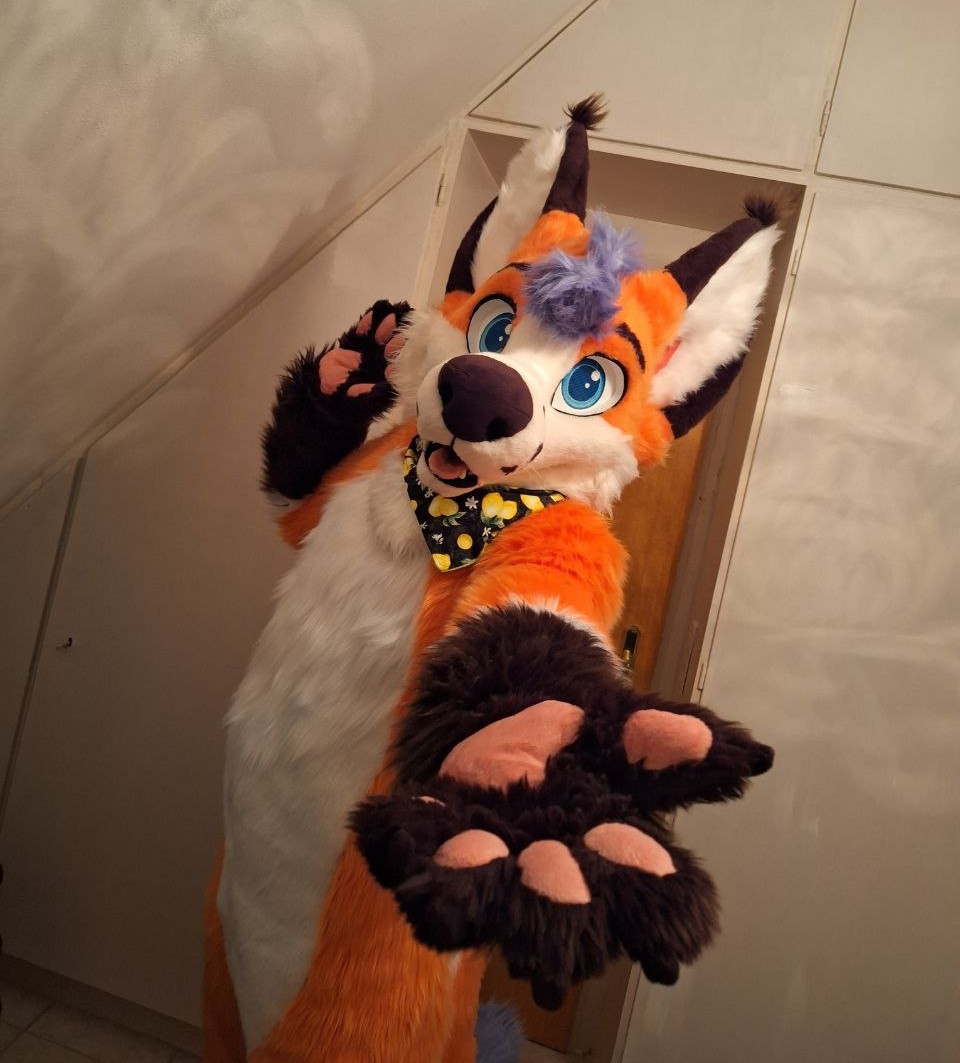 Fluffy fox holding out his paw for you