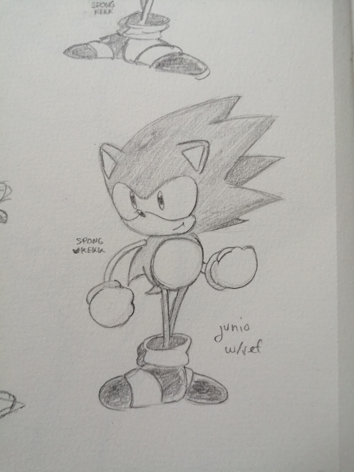 A sketch of Junio Sonic that I drew with reference with a basic mechanical pen on a basic sketch book, I actually like the without reference version more but this one is cute too