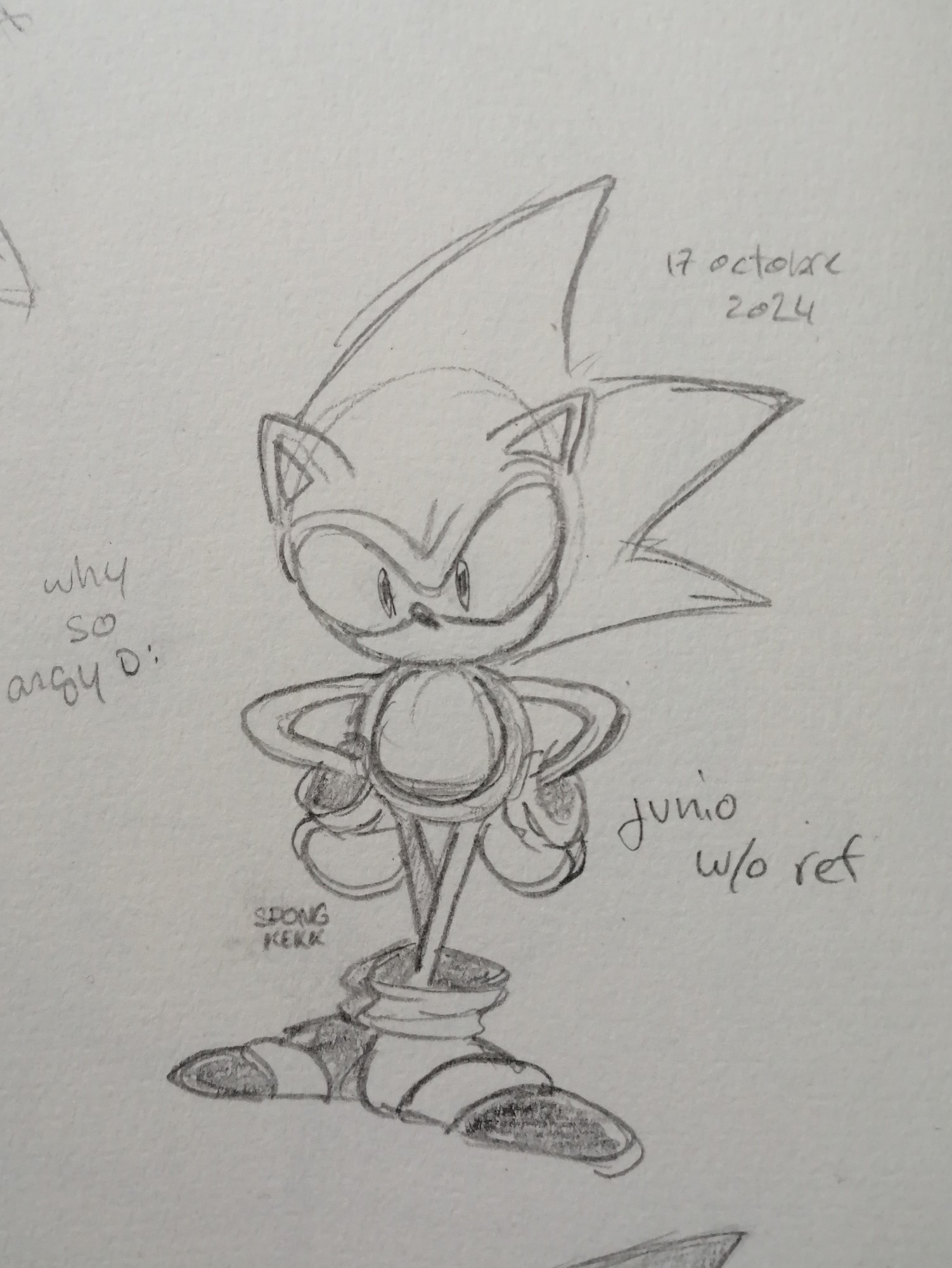 A sketch of Junio Sonic that I drew without any reference with a basic mechanical pen on a basic sketch book