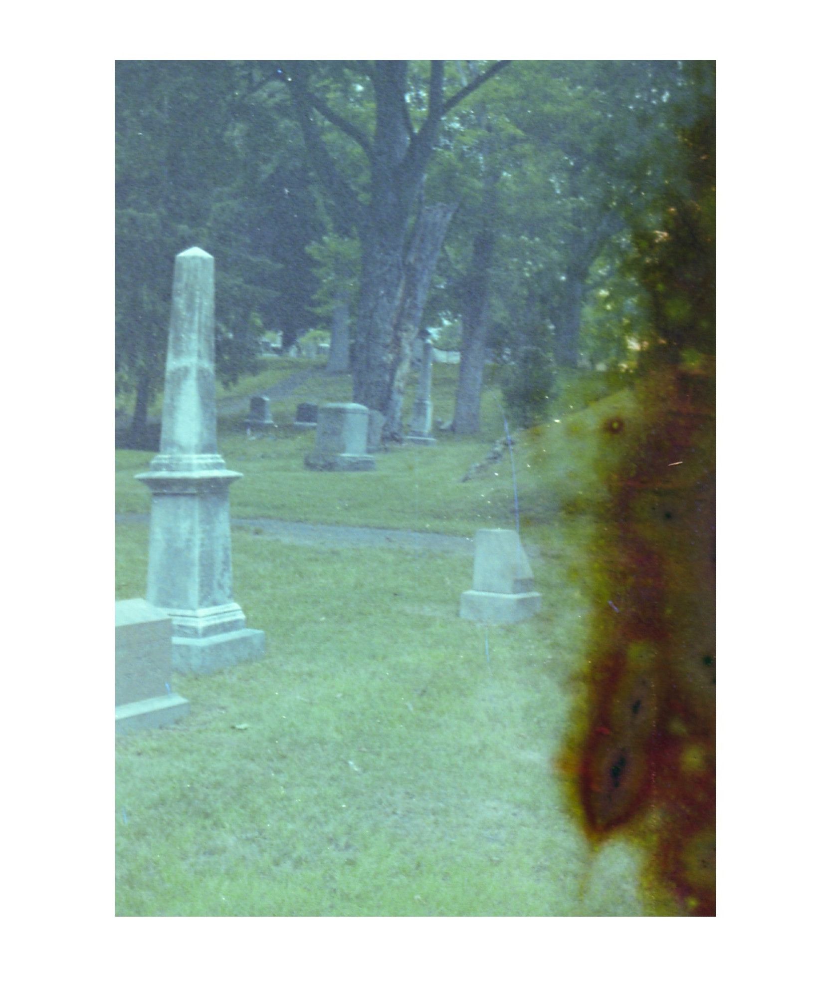 A washed out, expired film photograph image of a garden cemetery with monuments and trees, and distorted rust red staining at right, almost in the shape of a long-armed skull-faced humanoid.