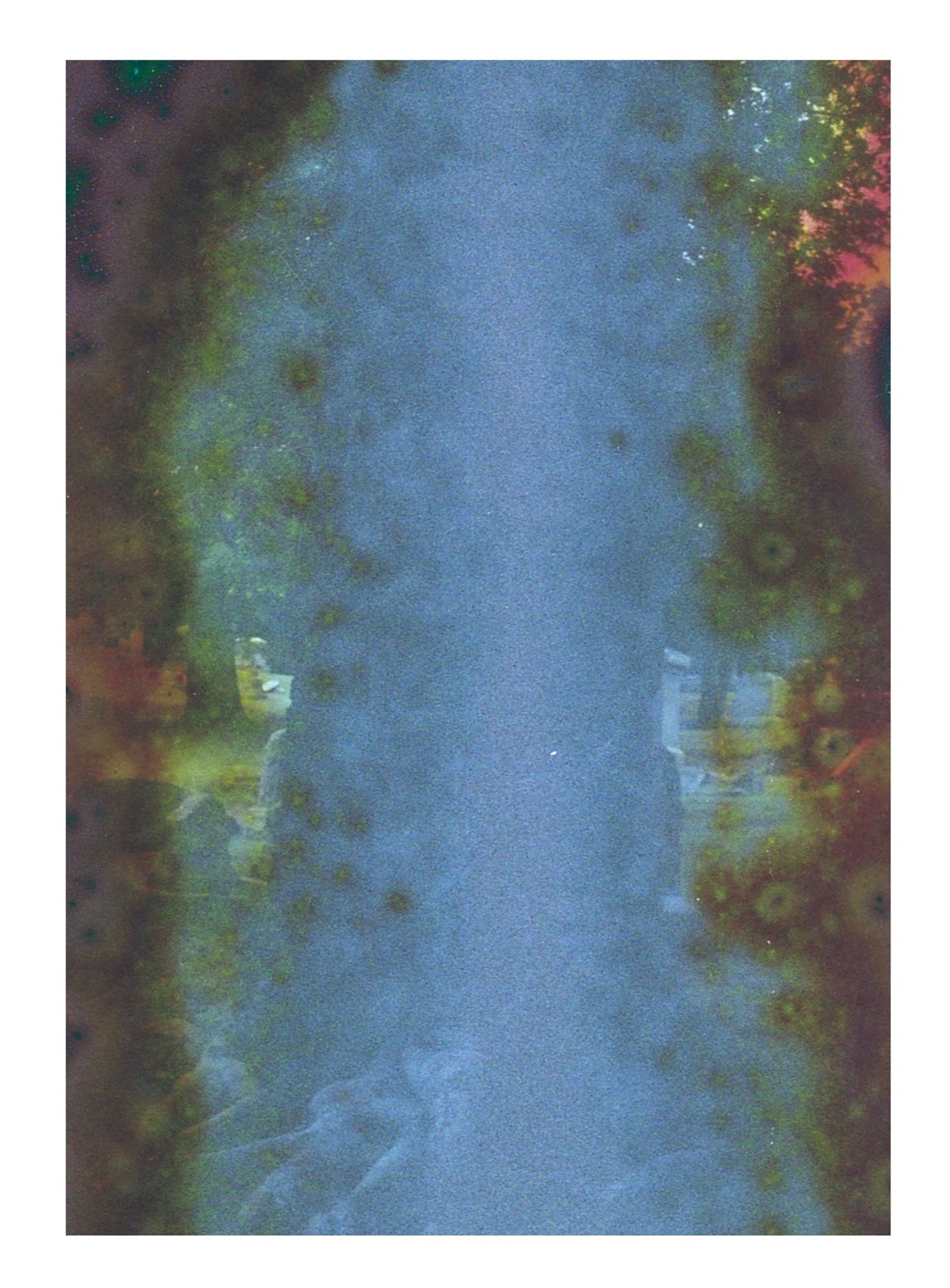 Expired film photograph showing a washed out image of at center, a large tree trunk in a cemetery, and distorted rusty red and green coloring along the left and right sides.