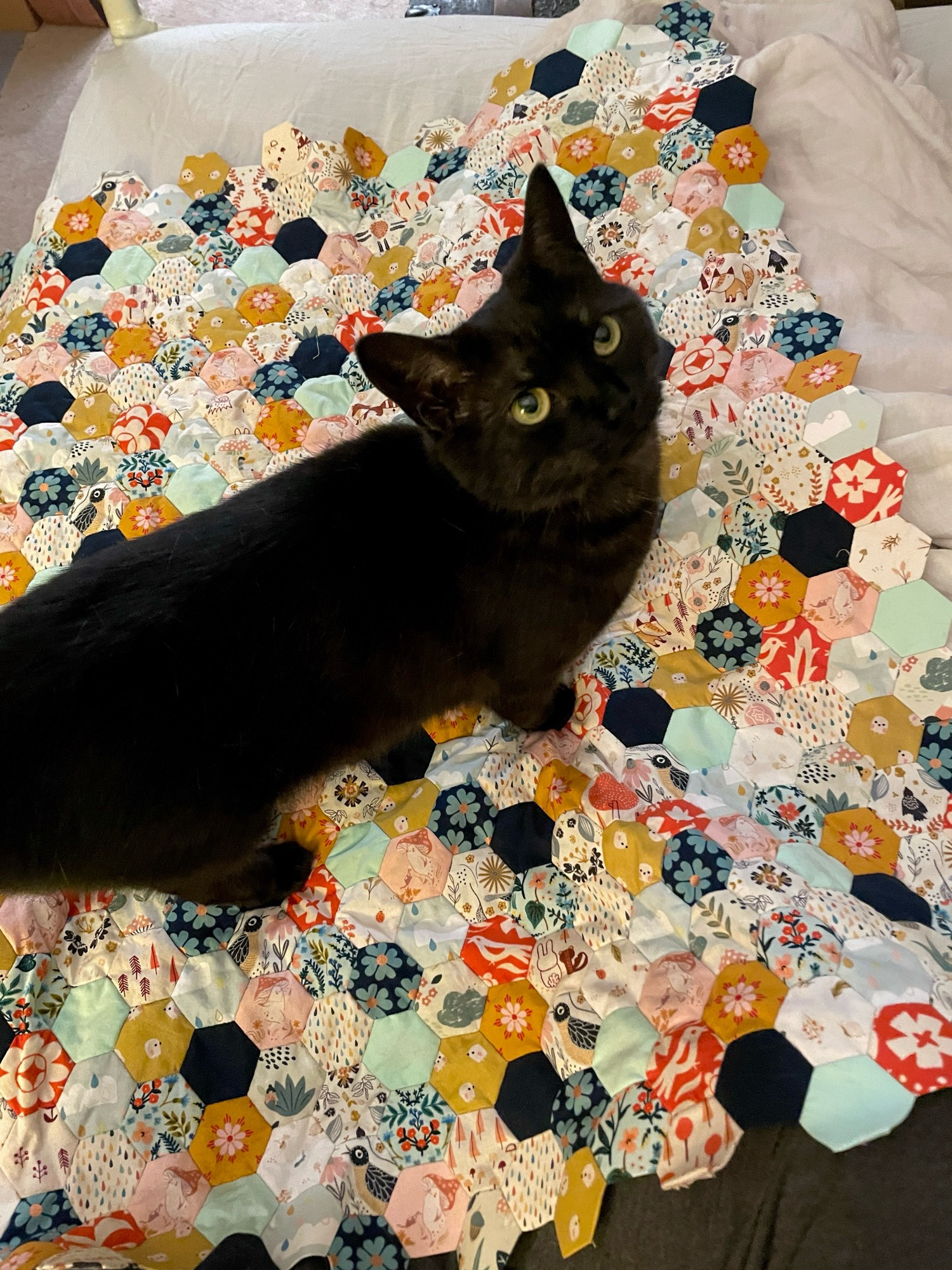 A multi colored hexagon tiled baby quilt. My black smoke cat is standing on it looking up toward the camera.