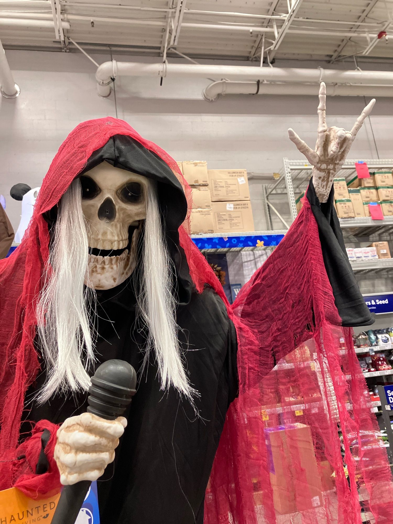 Photograph of an animatronic skeleton with a microphone.