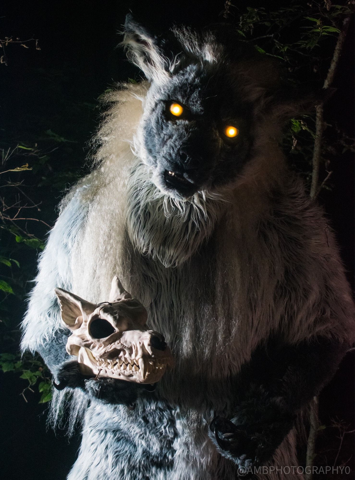 A grey fursuit named Phantom is standing in the woods. He is holding a wolf skull in one hand and stares at the viewer with his glowing yellow eyes.